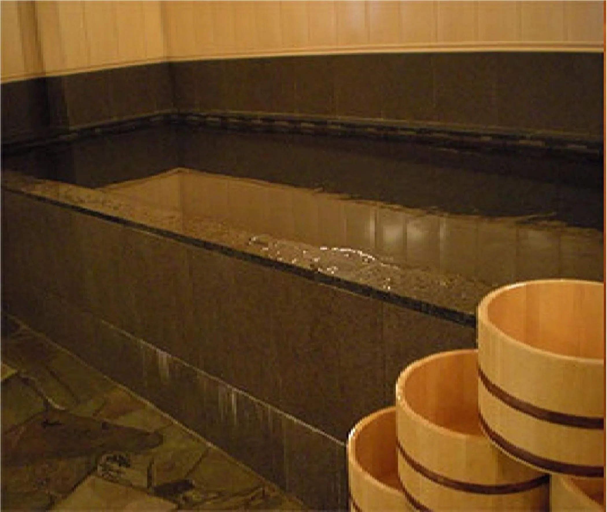 Public Bath in Niigata Park Hotel