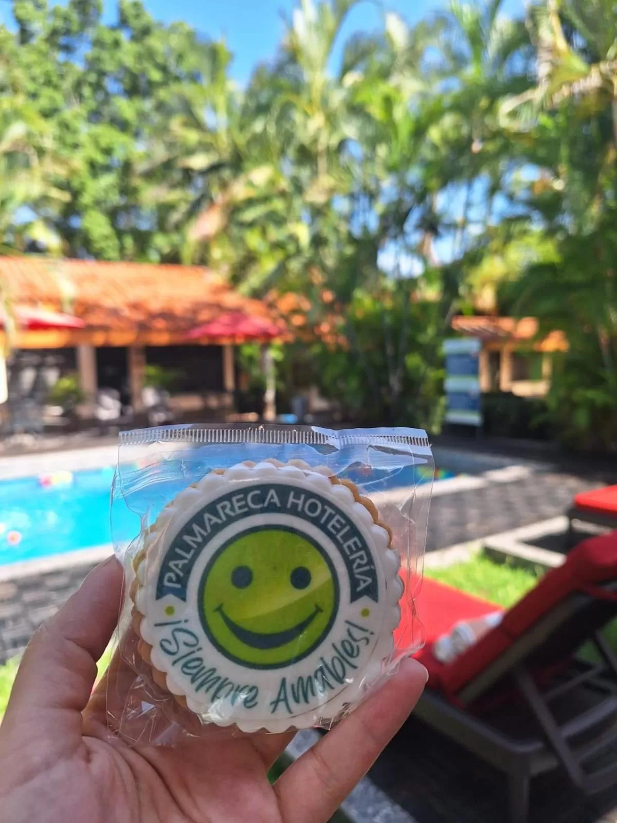 Day in Hotel Palmareca