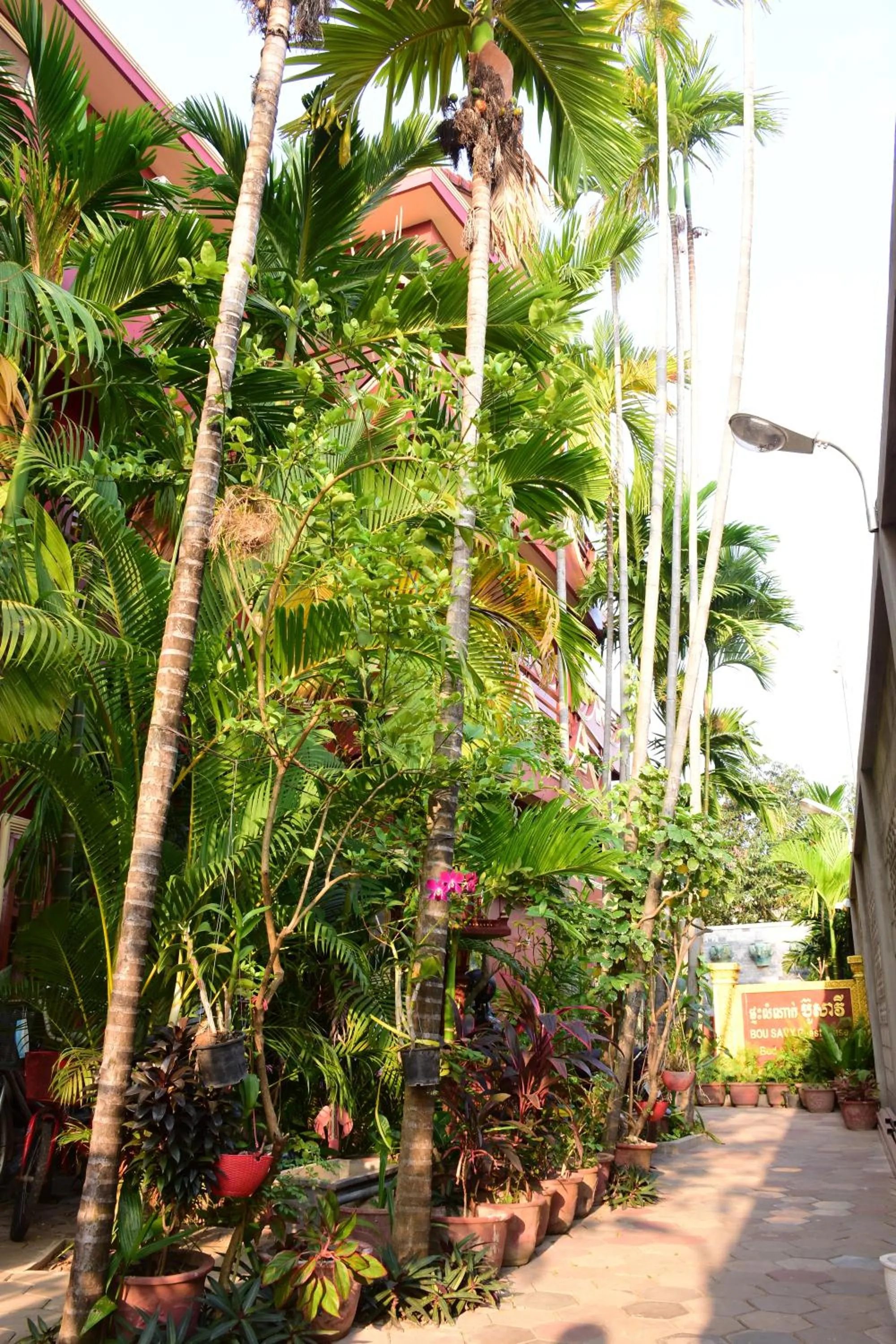 Facade/entrance in Bou Savy Guesthouse