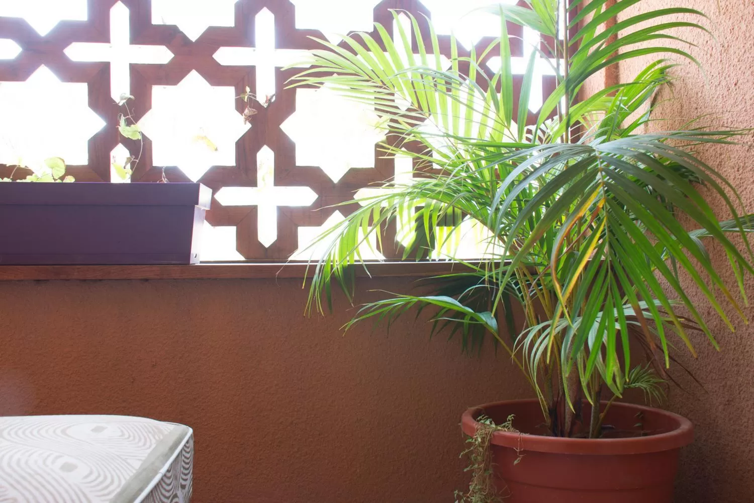 Balcony/Terrace in Nyéléni maison sahel