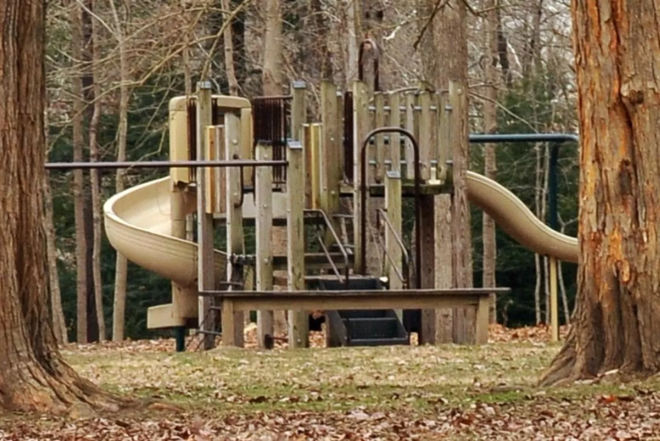 Property building in Turkey Run Inn & Cabins