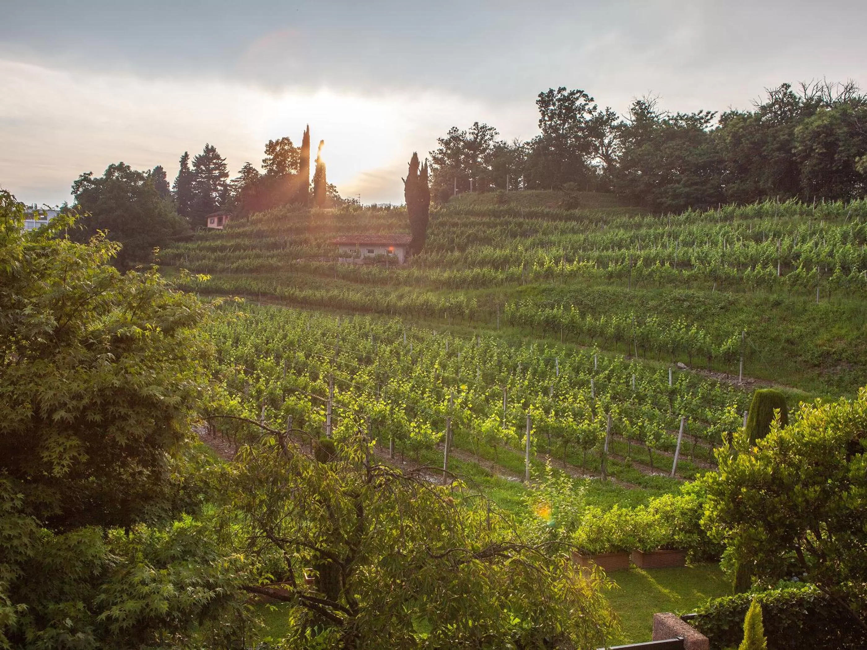 Garden in Park Hotel Principe