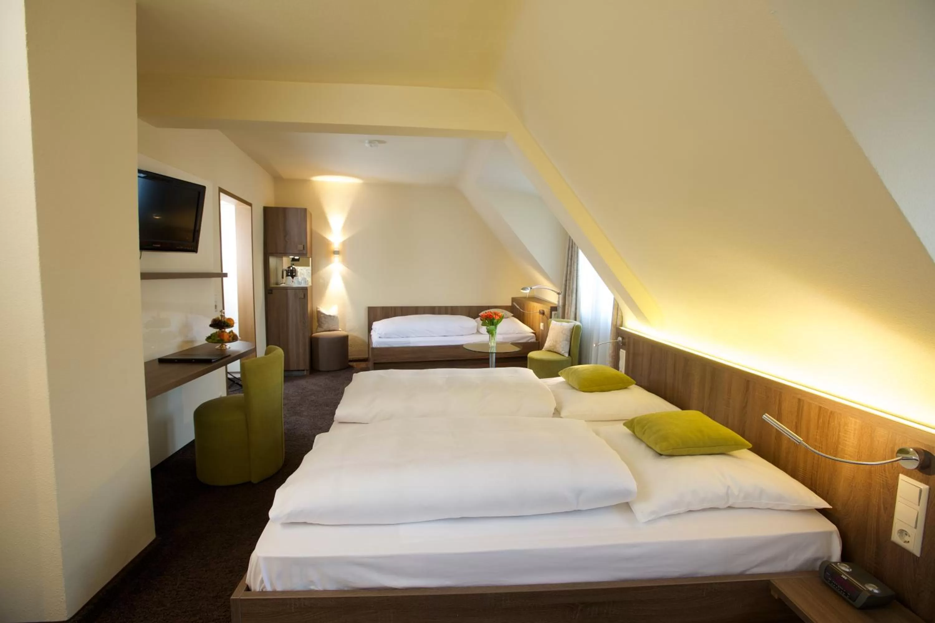 Triple Room - single occupancy in Hotel Warteck