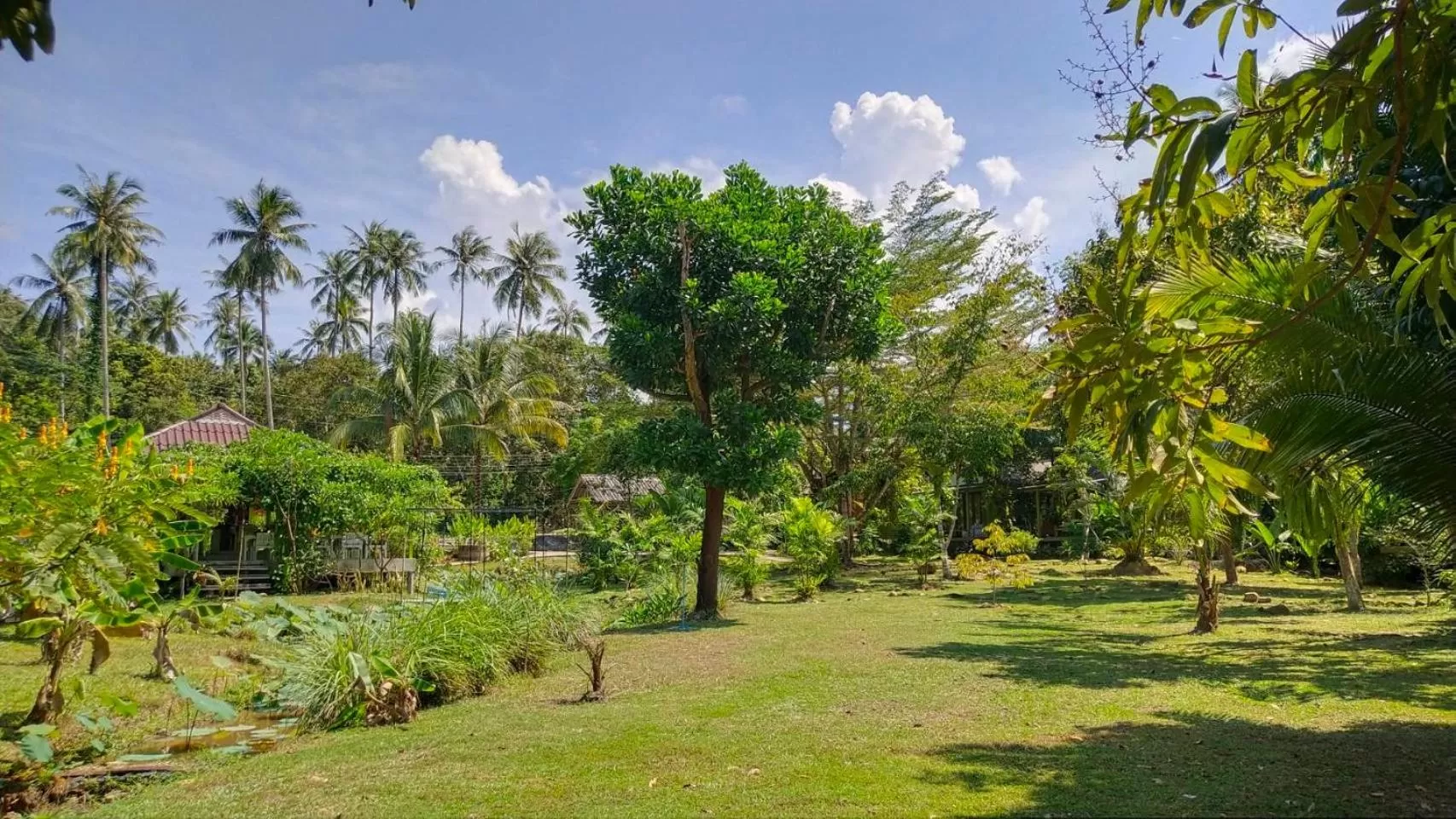 View (from property/room), Garden in Baan Bua Cottage SHA EXTRA PLUS B5510