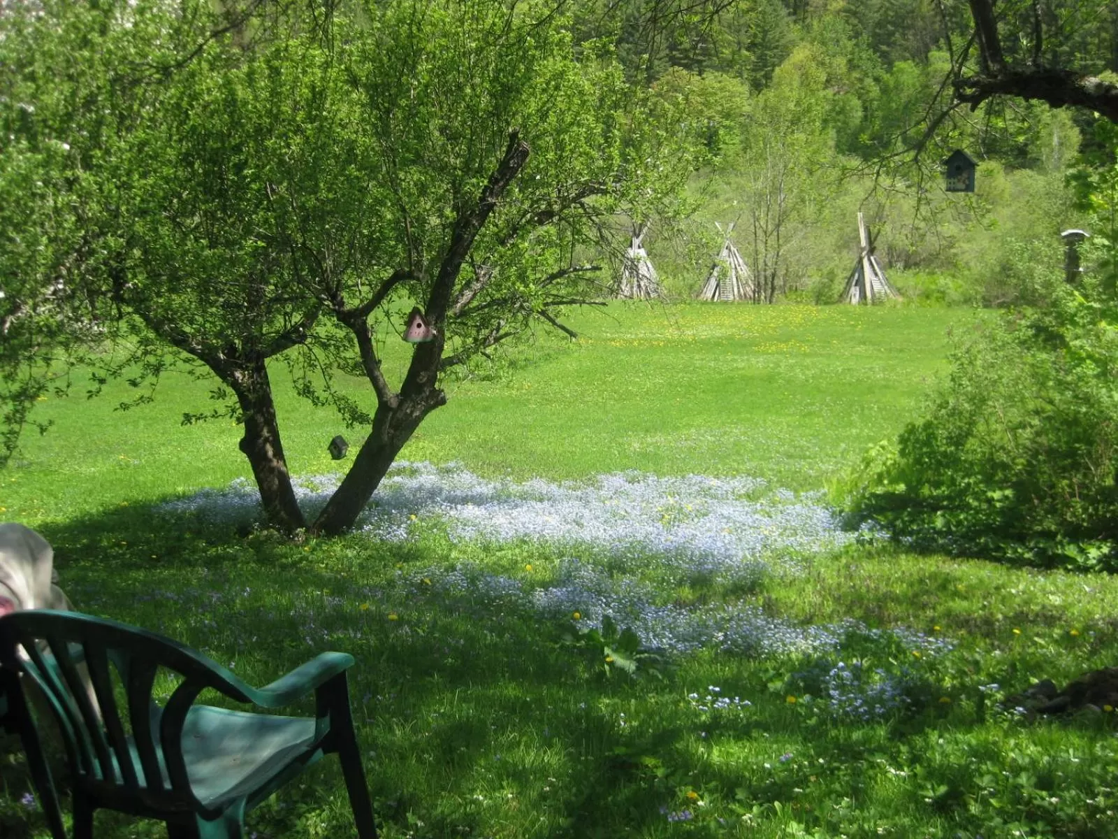 Garden in Mountain Valley Retreat