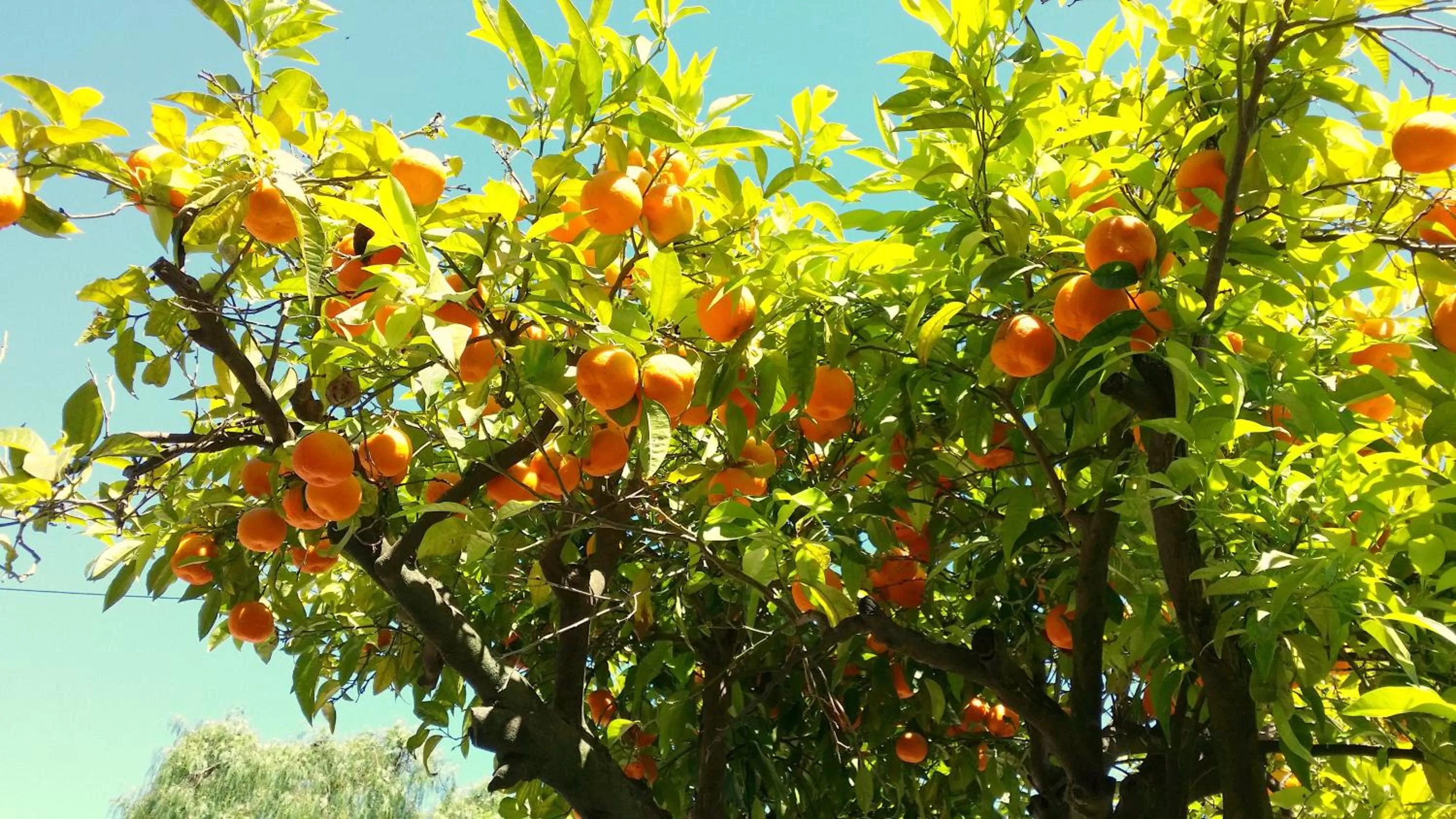 Area and facilities in Kimi Résidence