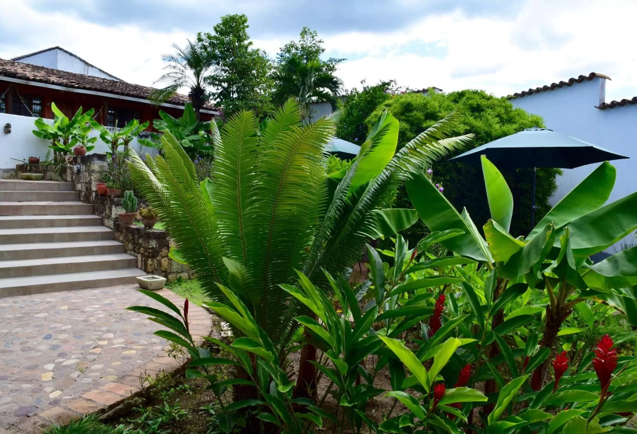 Garden in La Casa de Cafe Bed and Breakfast