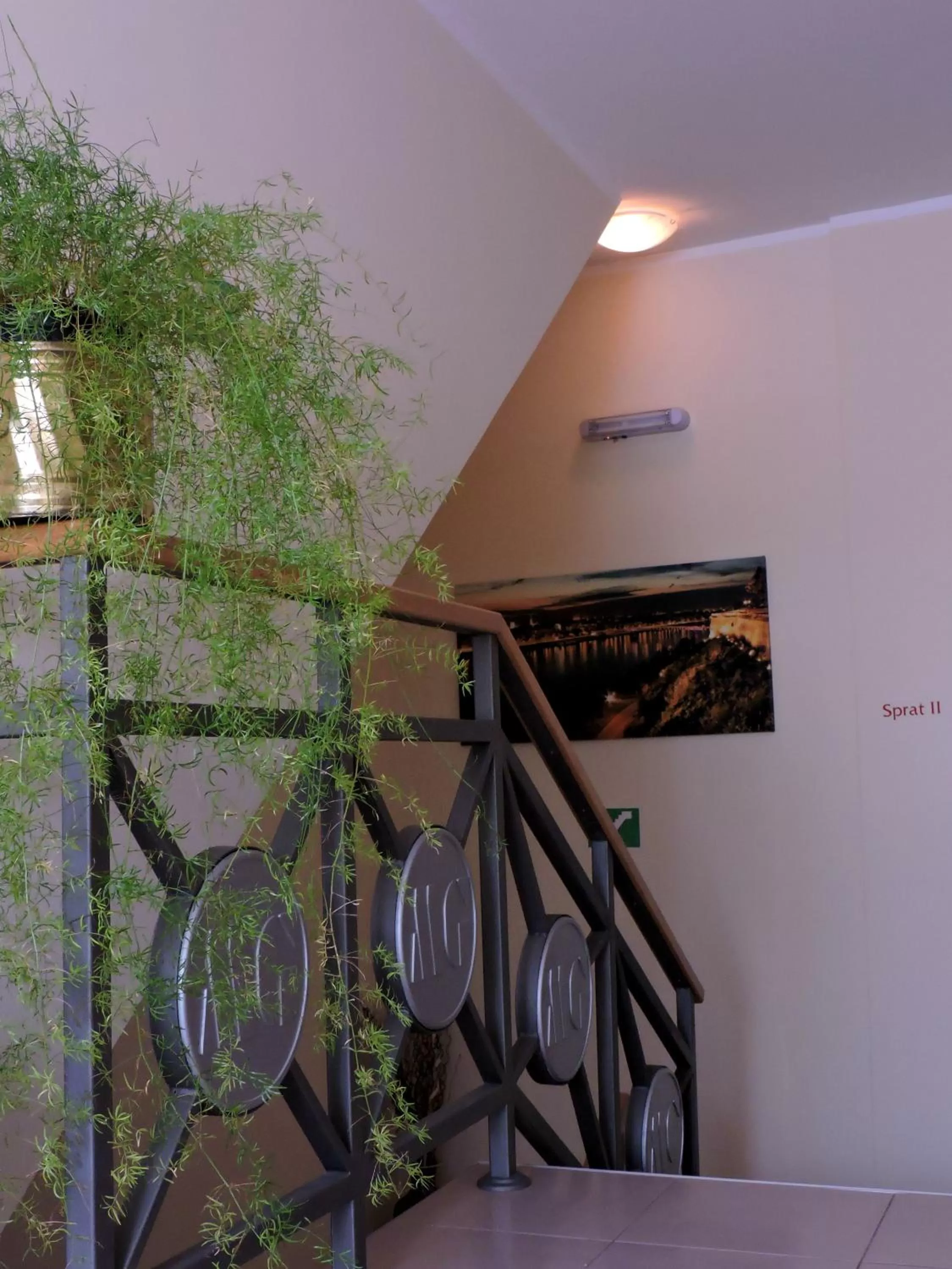 Area and facilities in B&B Zmajevo Gnezdo 021