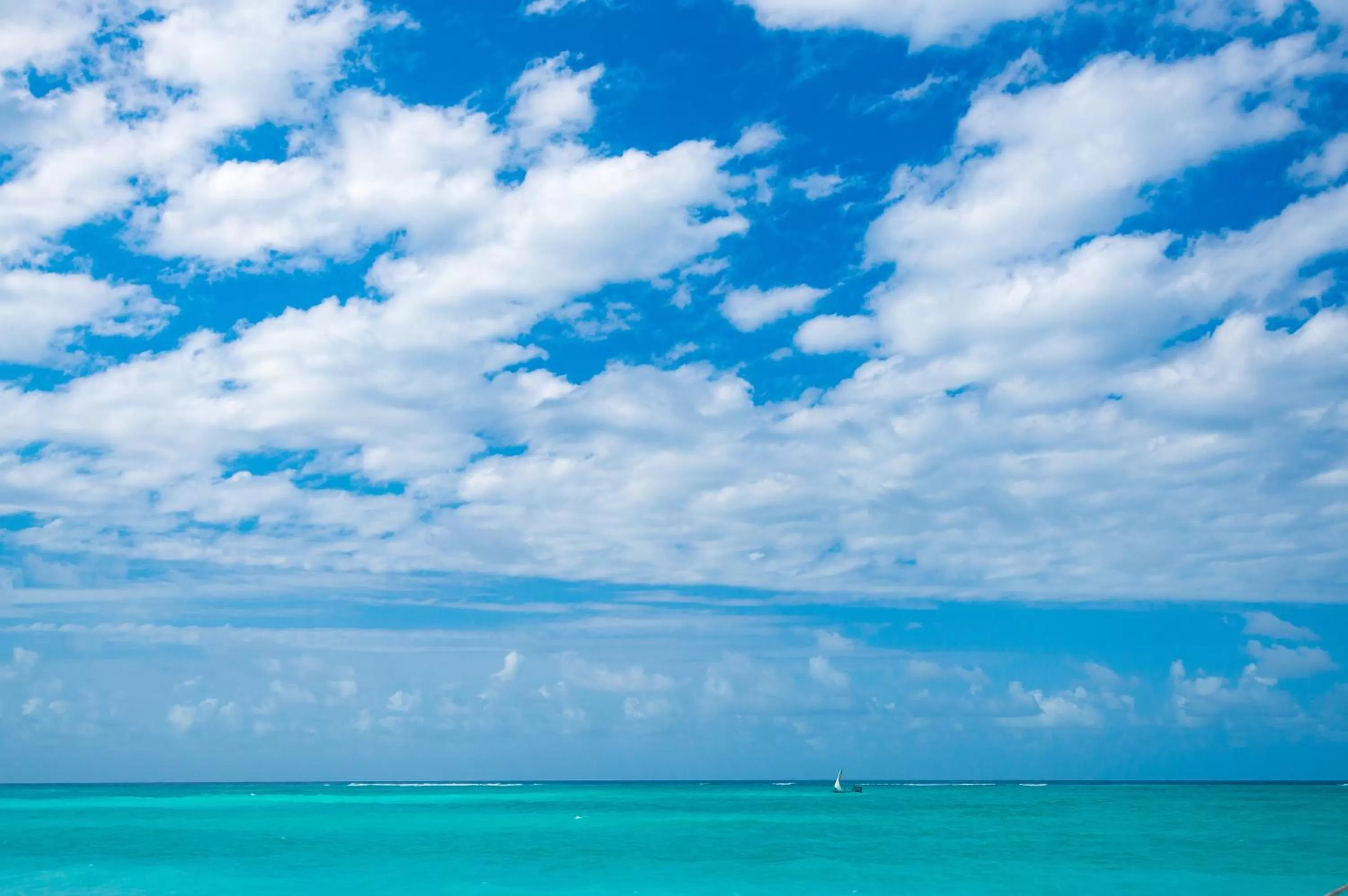 Sea view in Warere Beach