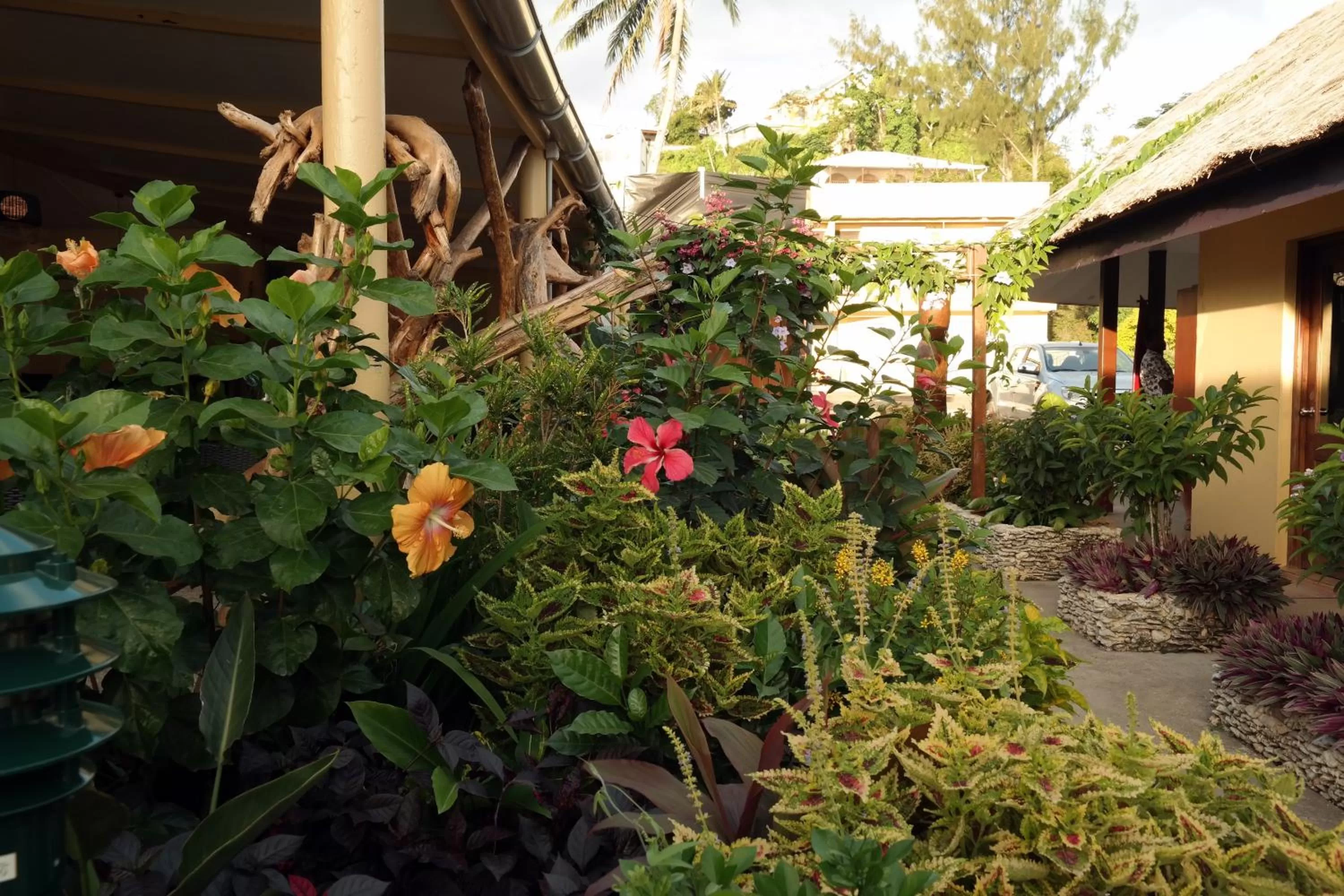 Garden in Moorings Hotel