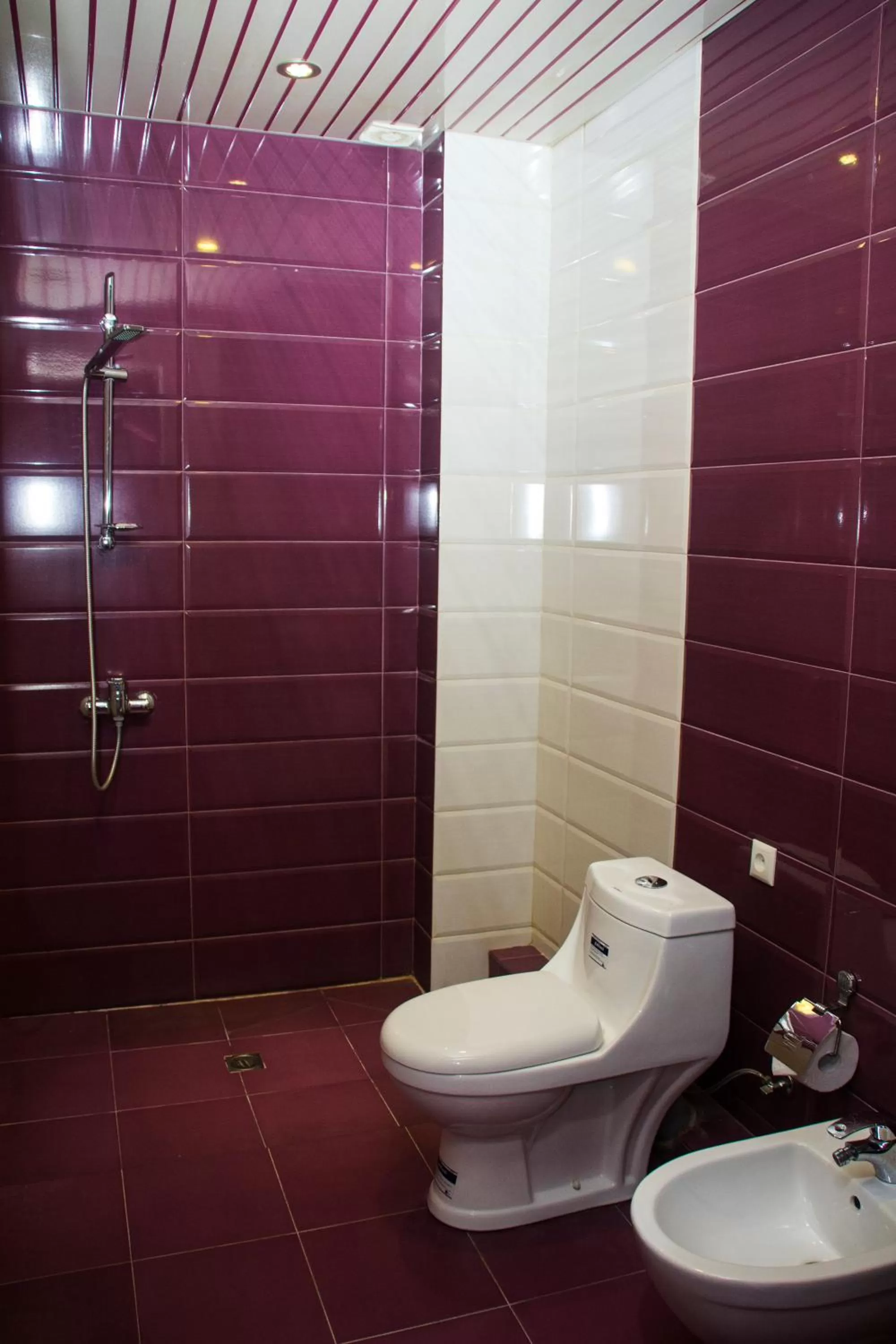 Shower in Mirage Hotel