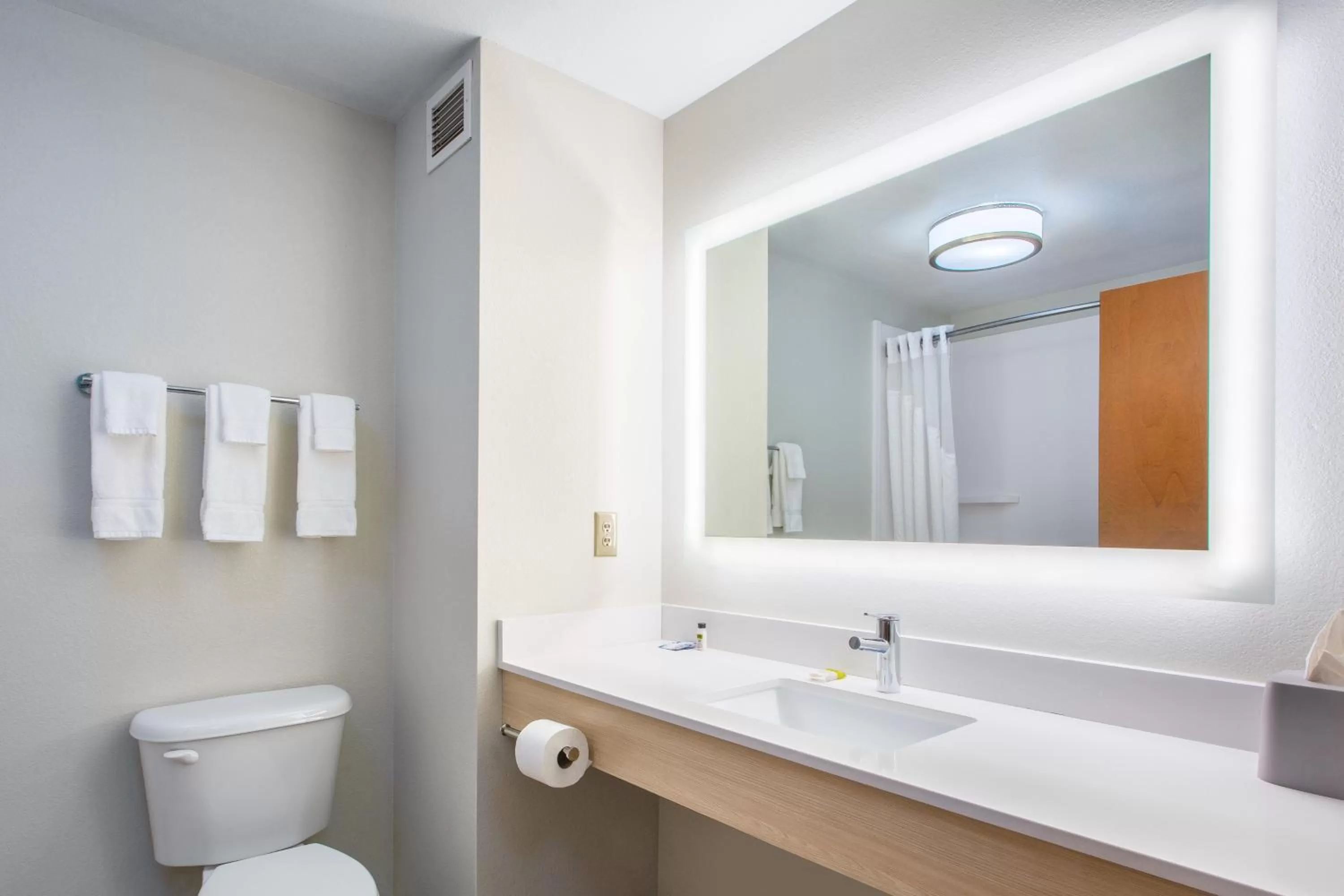 Bathroom in Holiday Inn Express Hotel & Suites Lewisburg by IHG