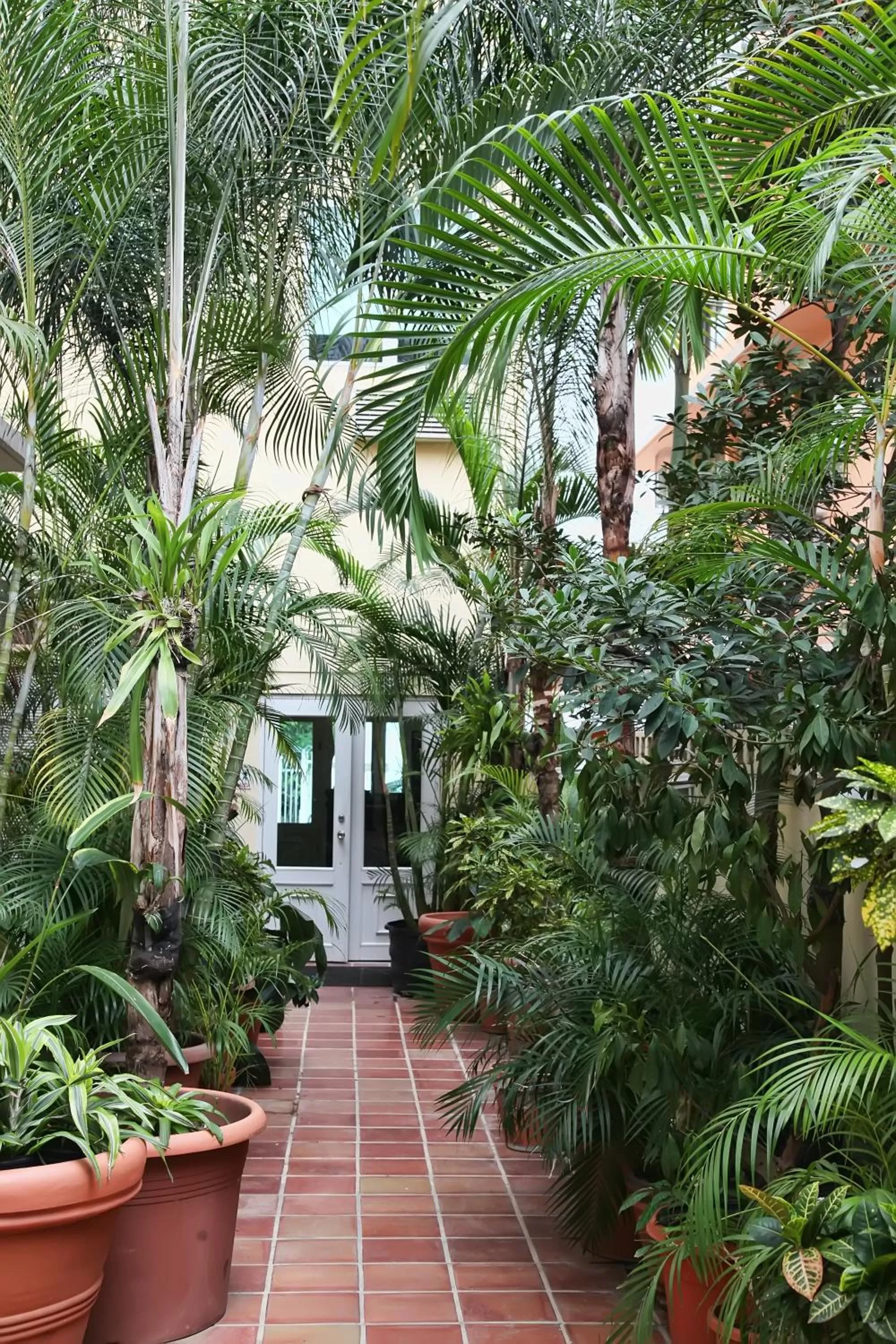 Facade/entrance in Coral Princess Hotel