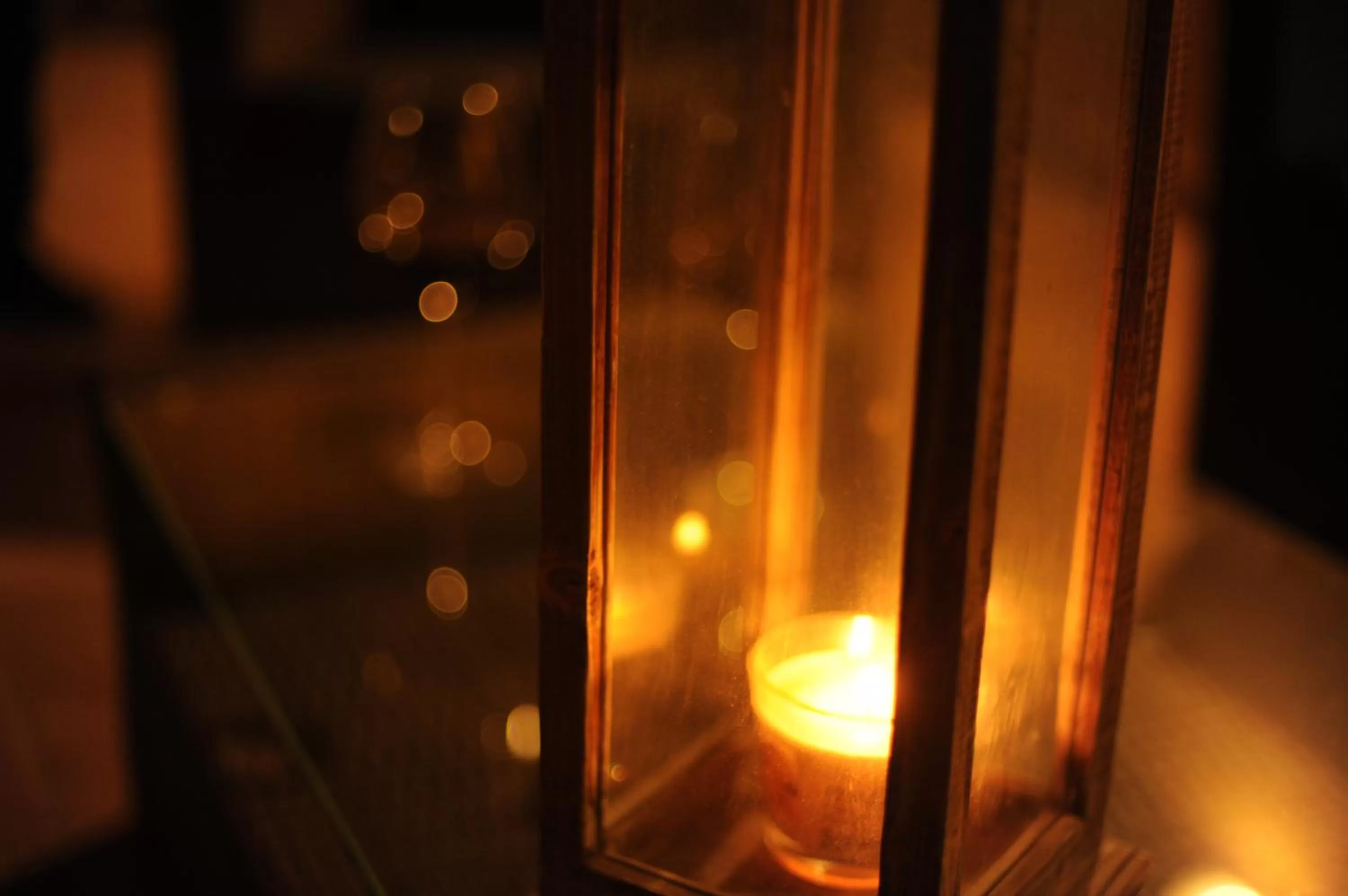 View (from property/room) in Hotel Bellavista