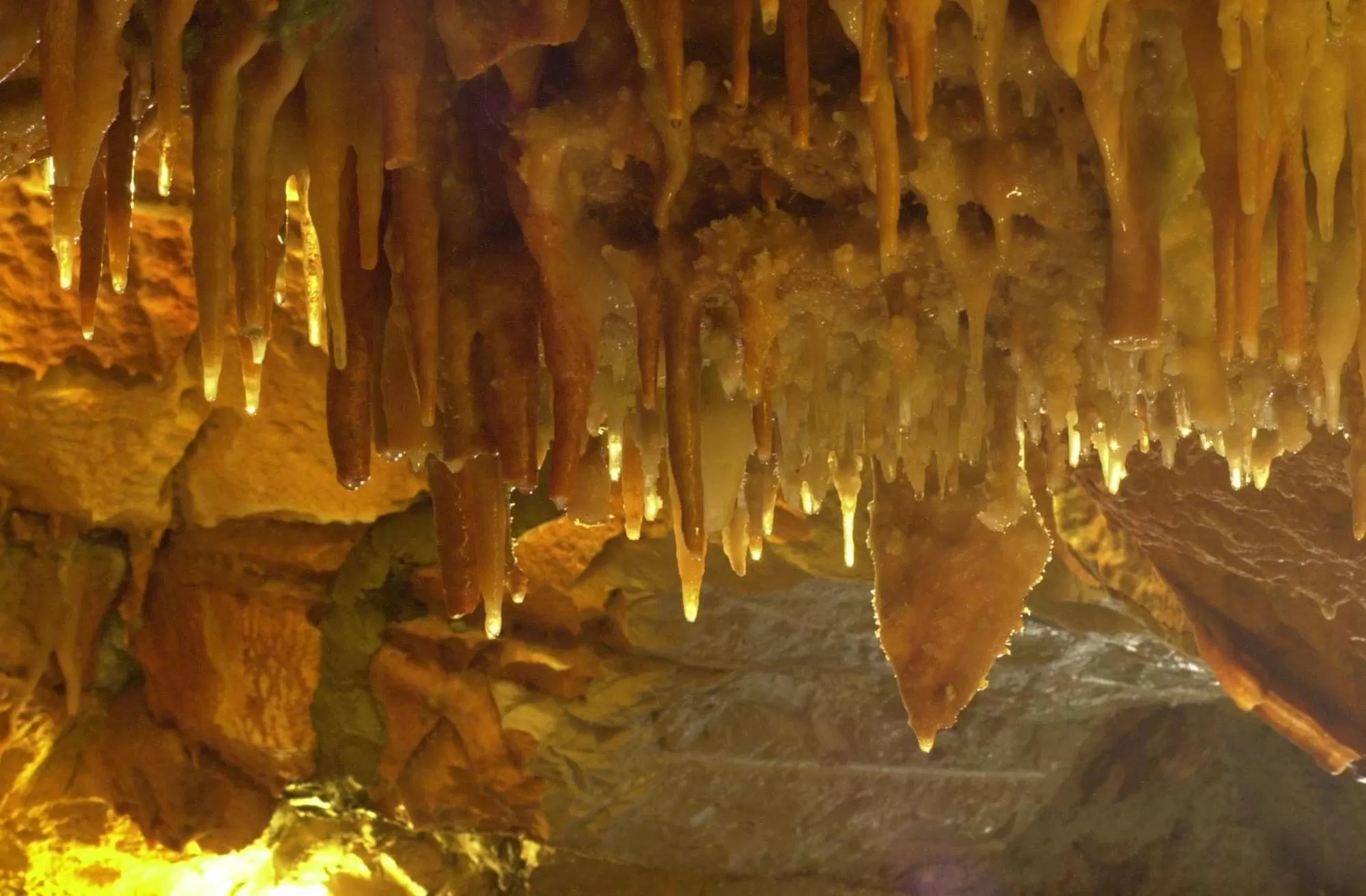 Nearby landmark in Hotel Dom Goncalo & Spa