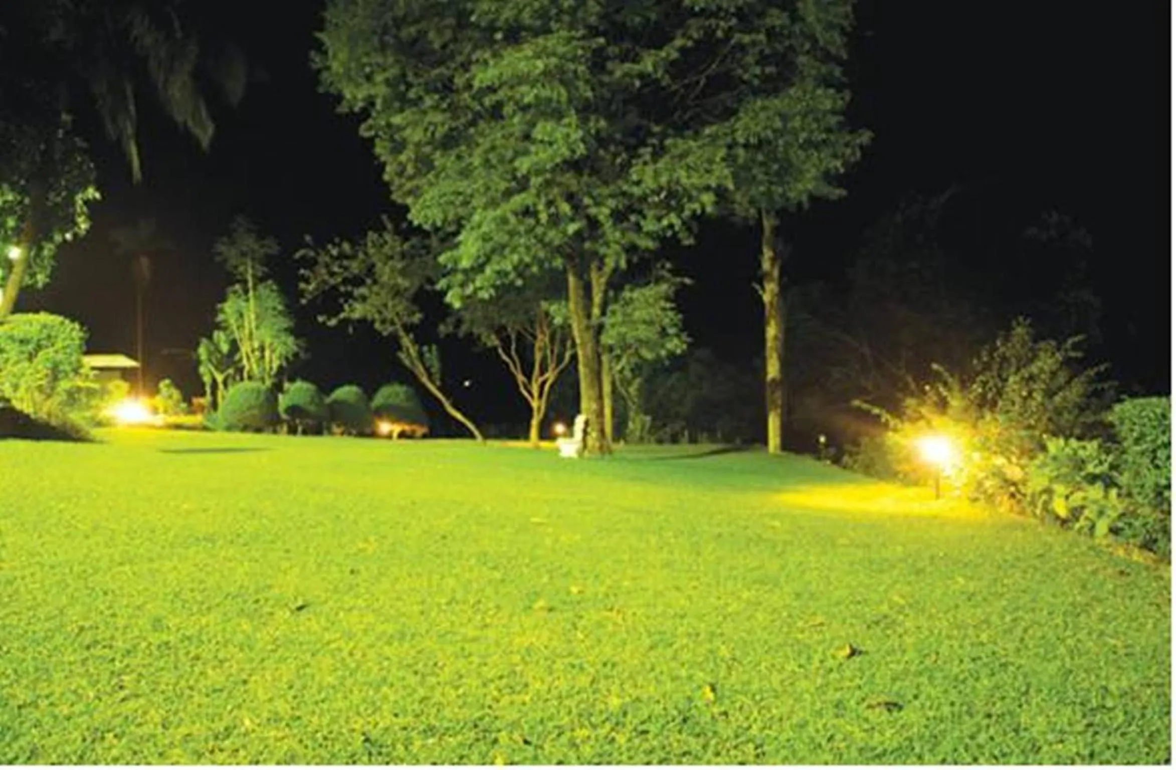 Garden in Hatale Tea Estate Bungalow