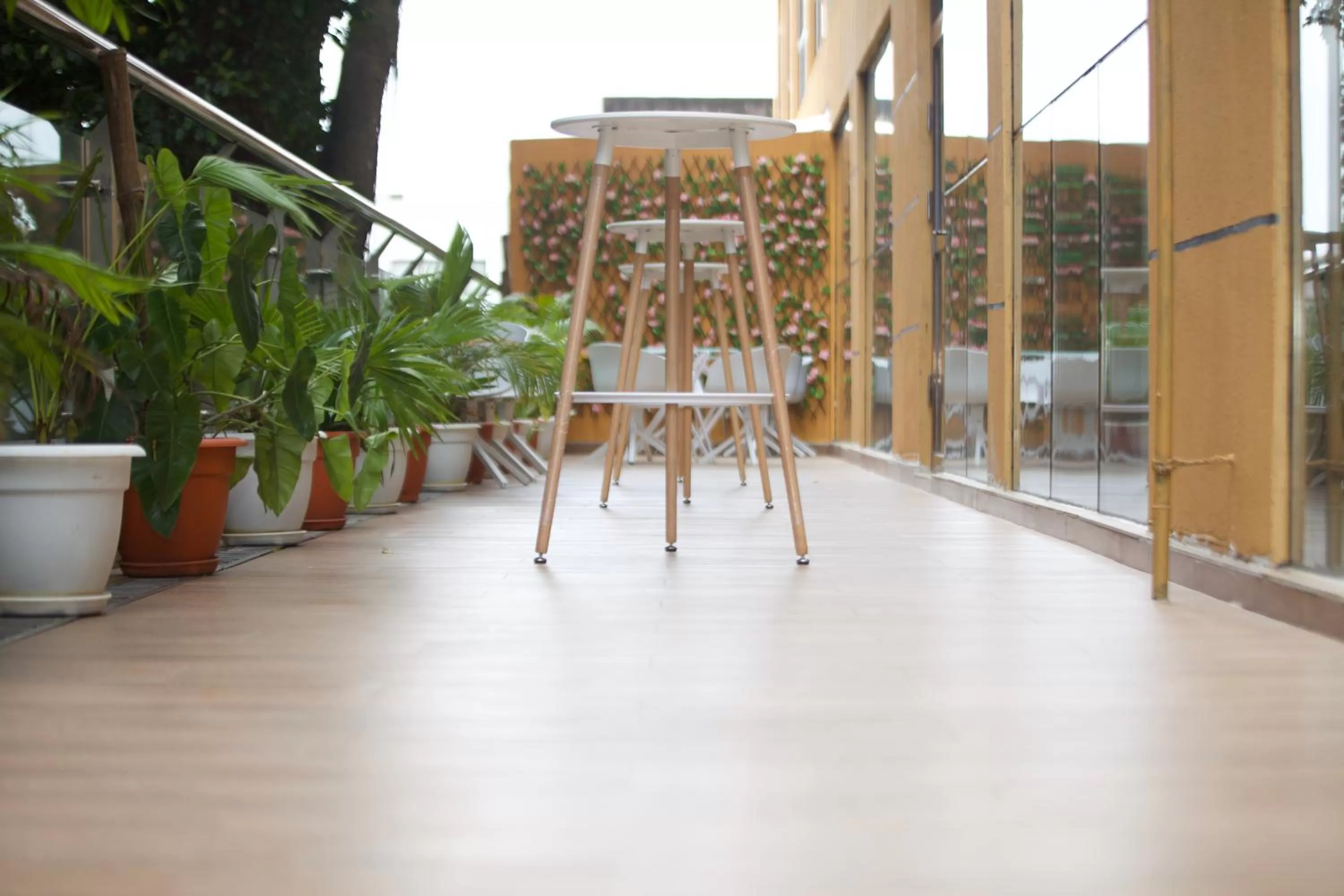 Balcony/Terrace in Hôtel FAMILLE MONDIALE