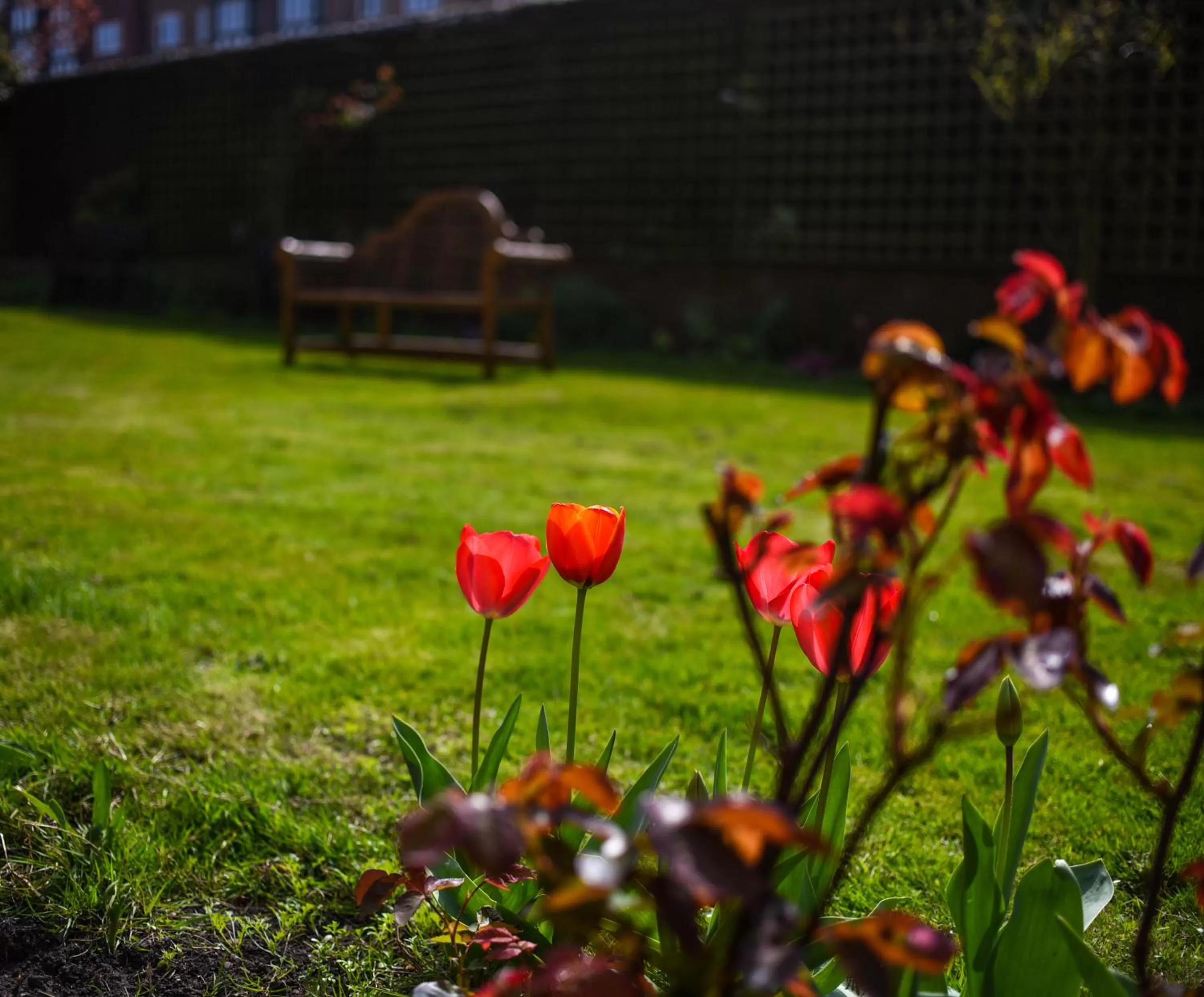 Garden in Castle House Hotel