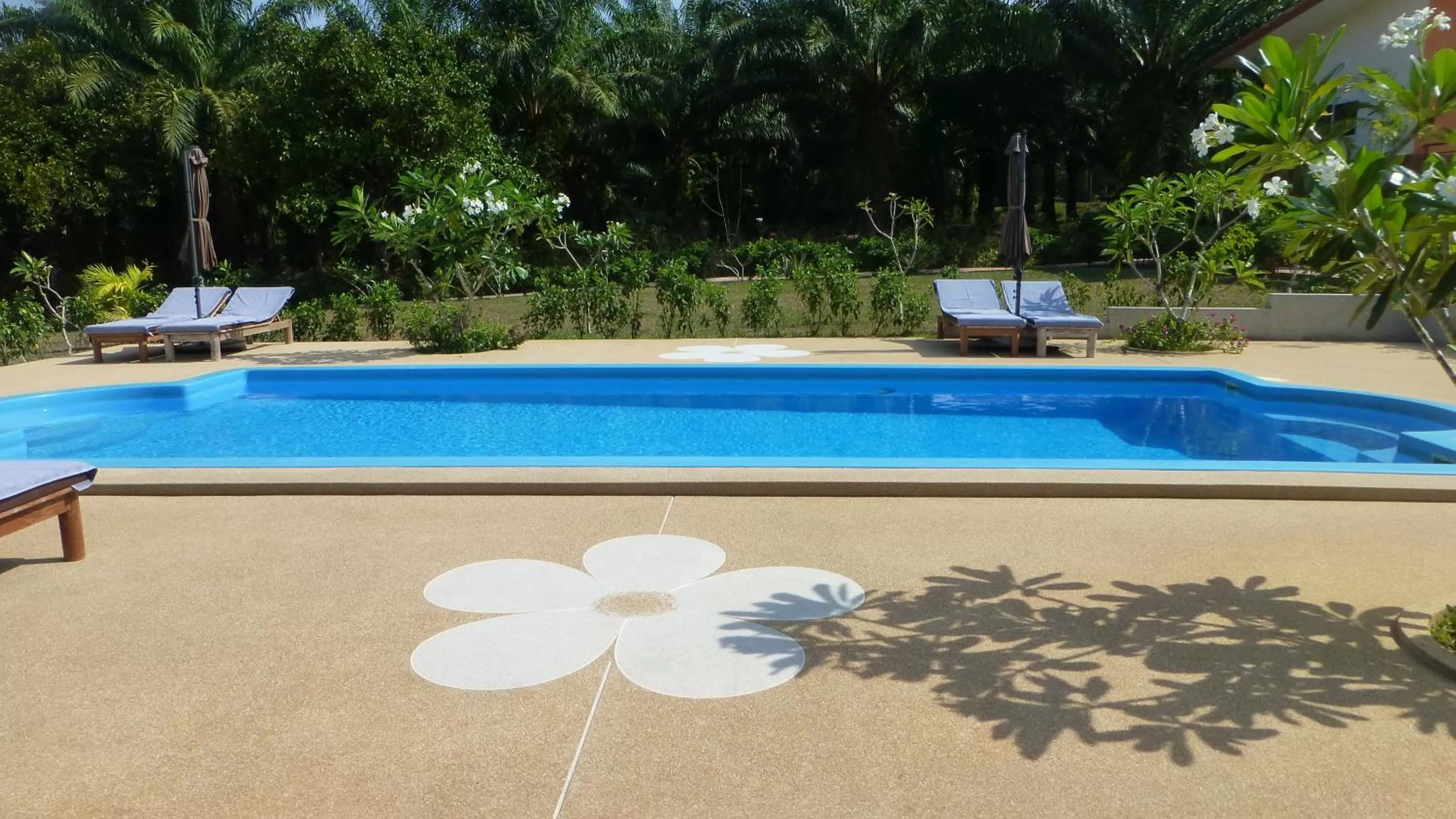 Pool view in Khao Sok Jasmine Garden Resort - SHA Certified