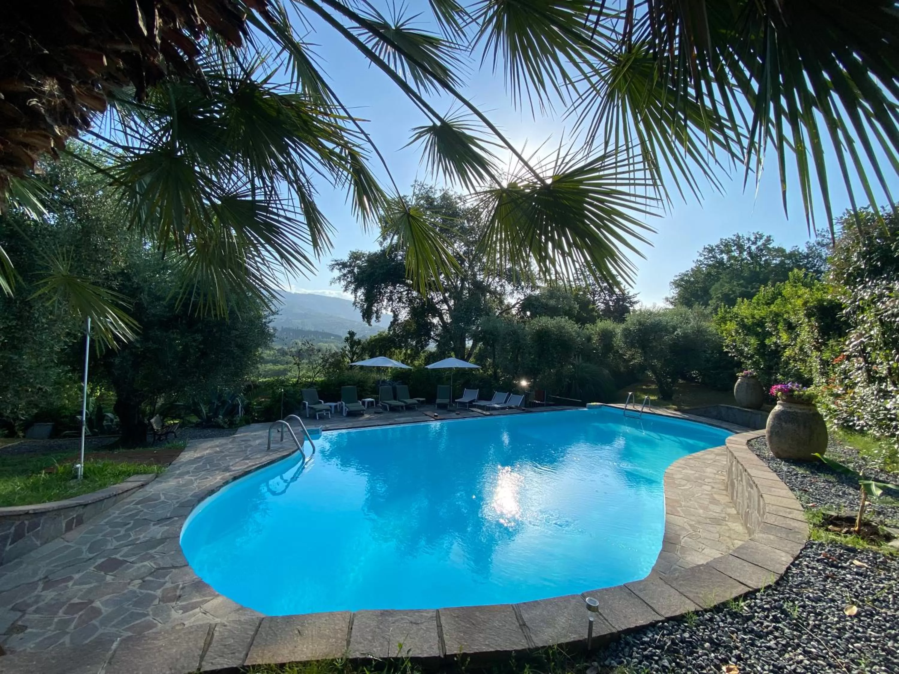 Swimming pool in Casa del Pino