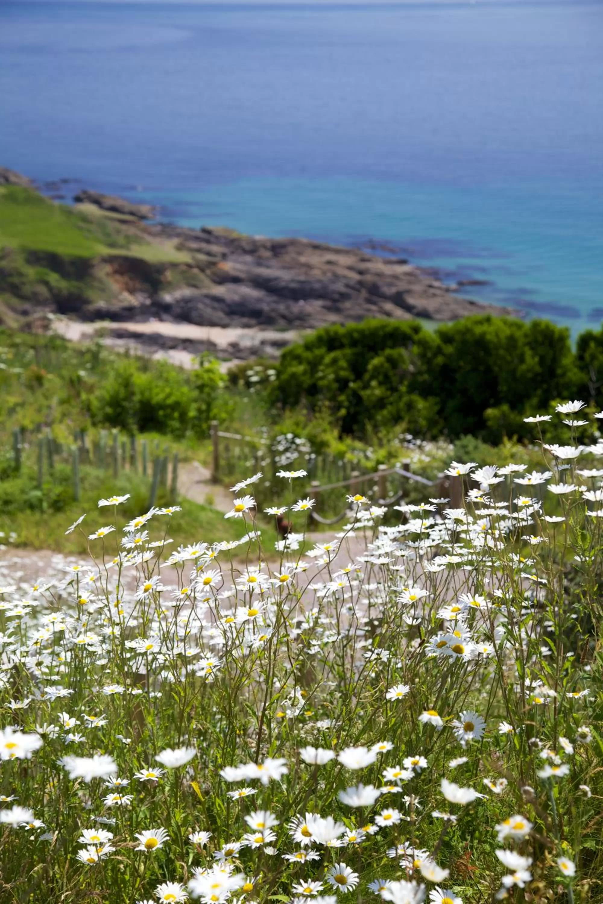 Beach in Gara Rock
