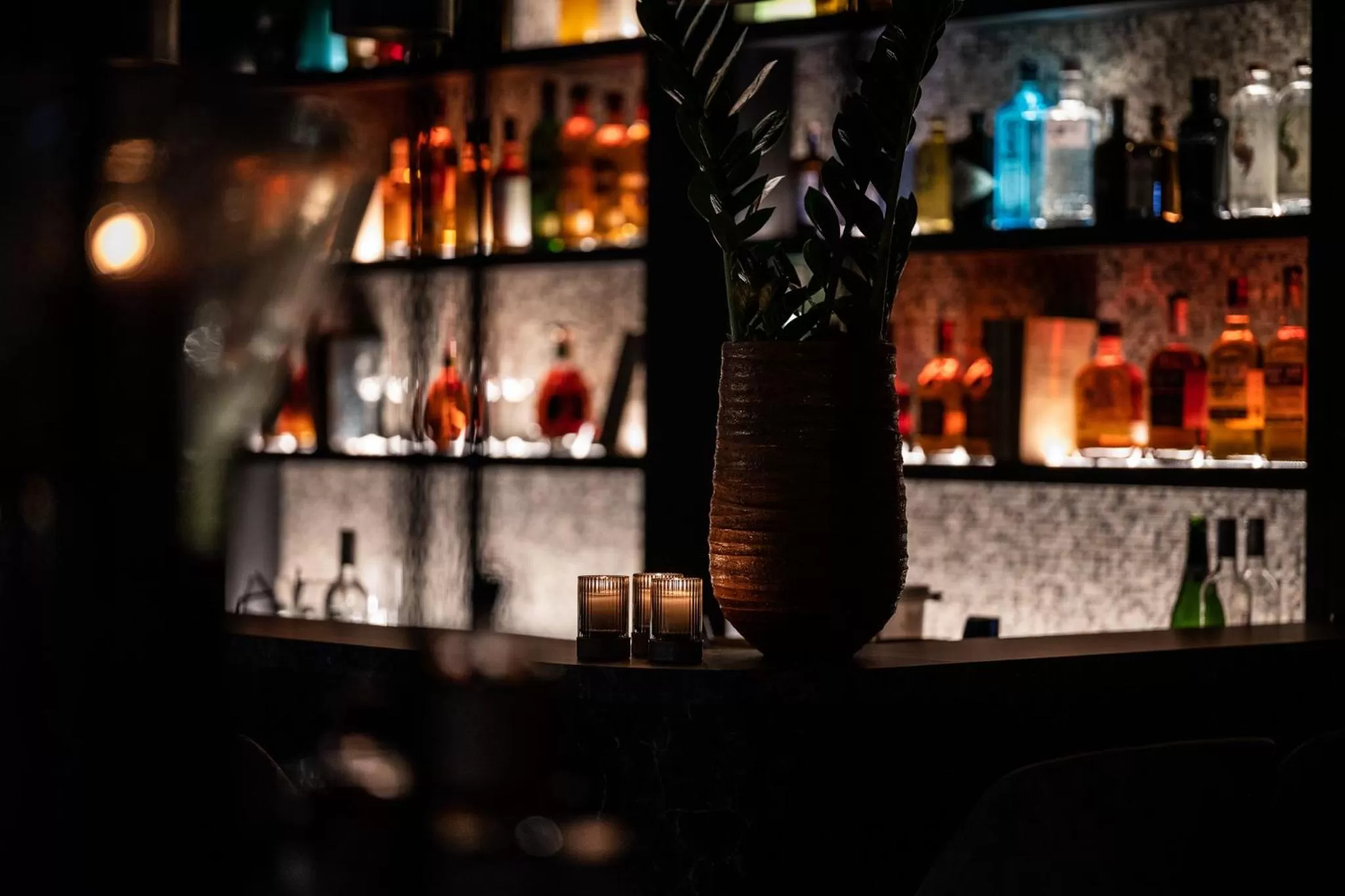 Lobby or reception in Boutiquehotel 't Fraeyhuis - adults only