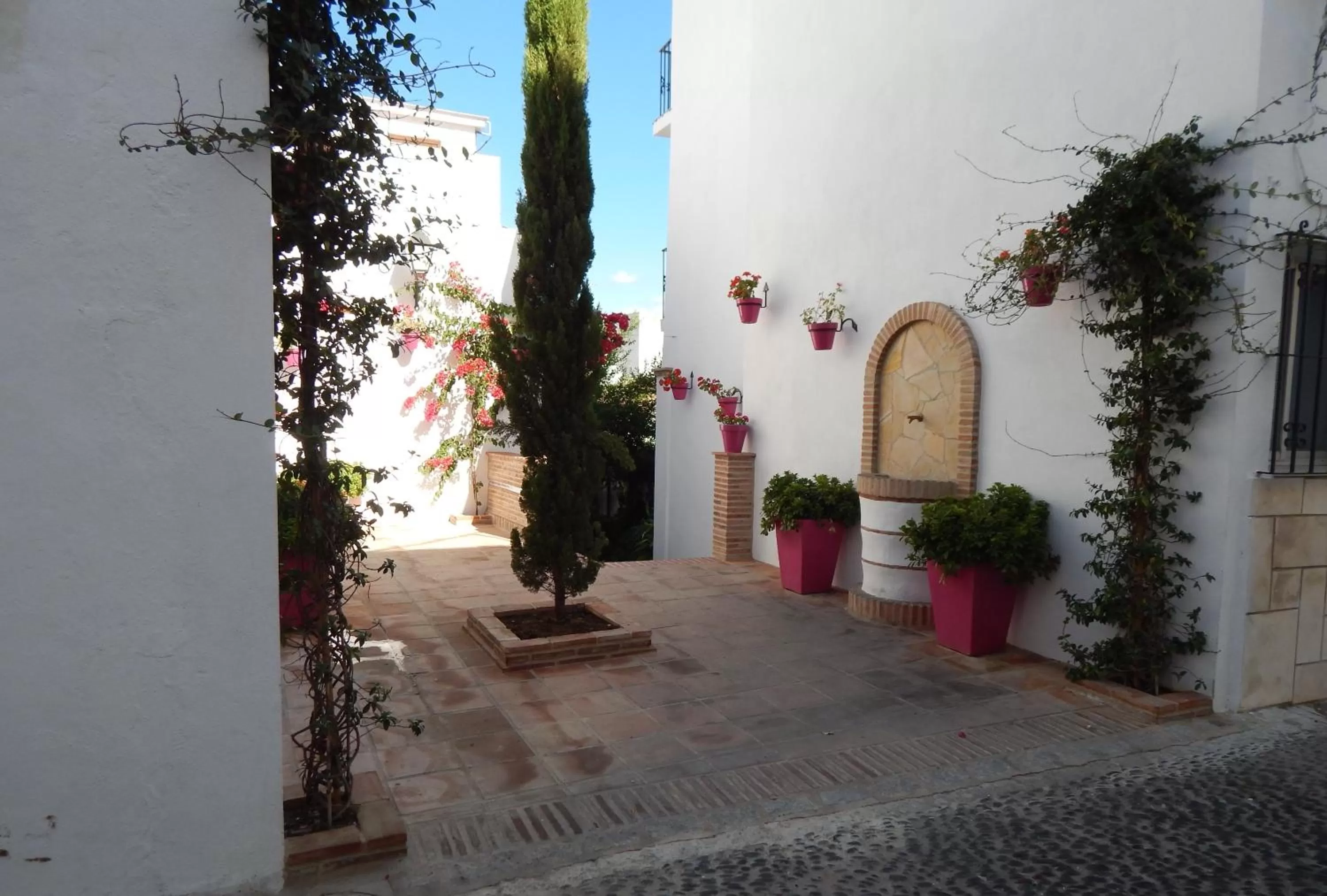 Other in Hotel Buenavista