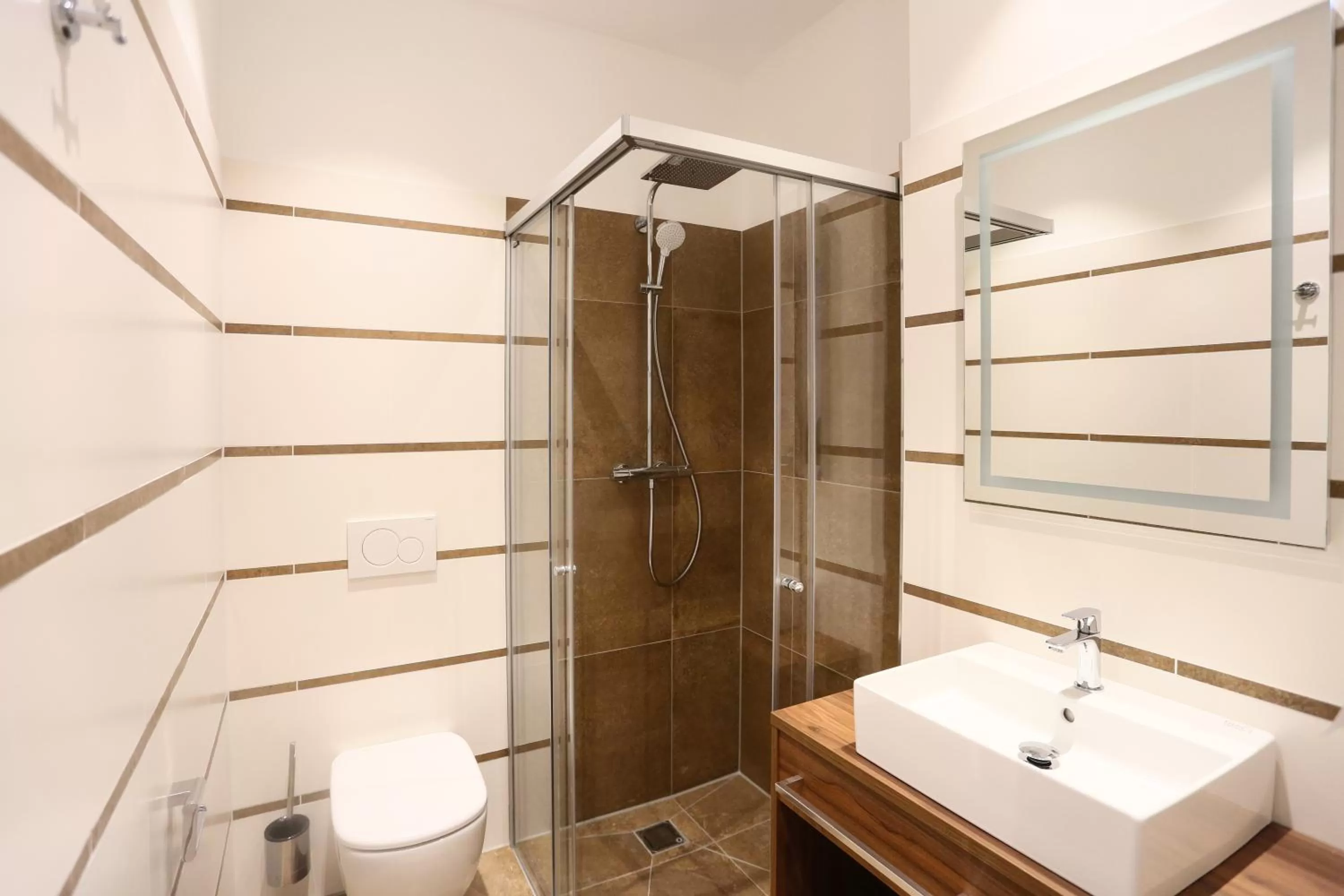 Bathroom in Hotel Lutz