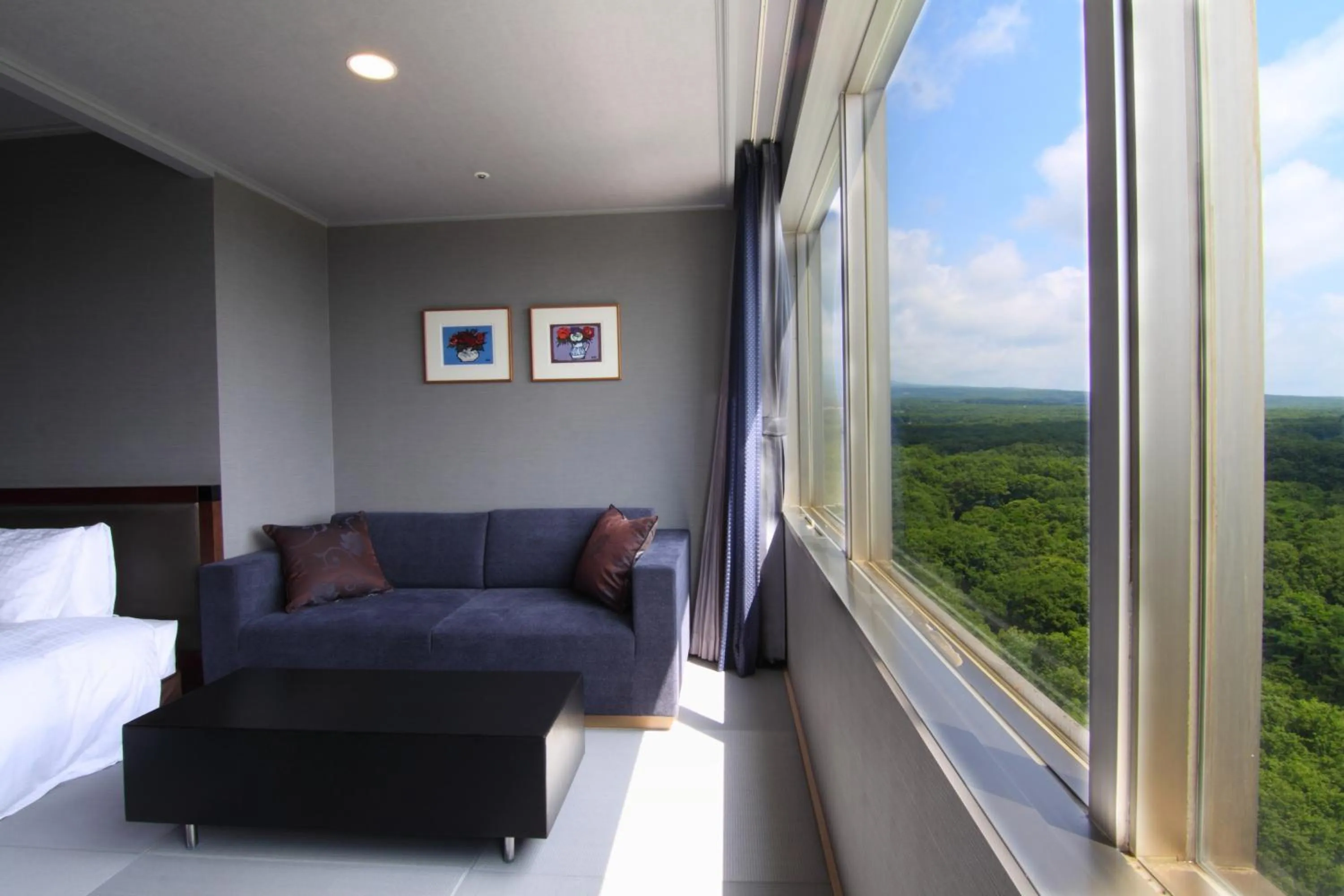 Photo of the whole room in Hotel Epinard Nasu