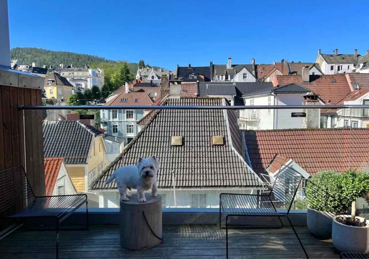 View (from property/room) in Citybox Bergen City