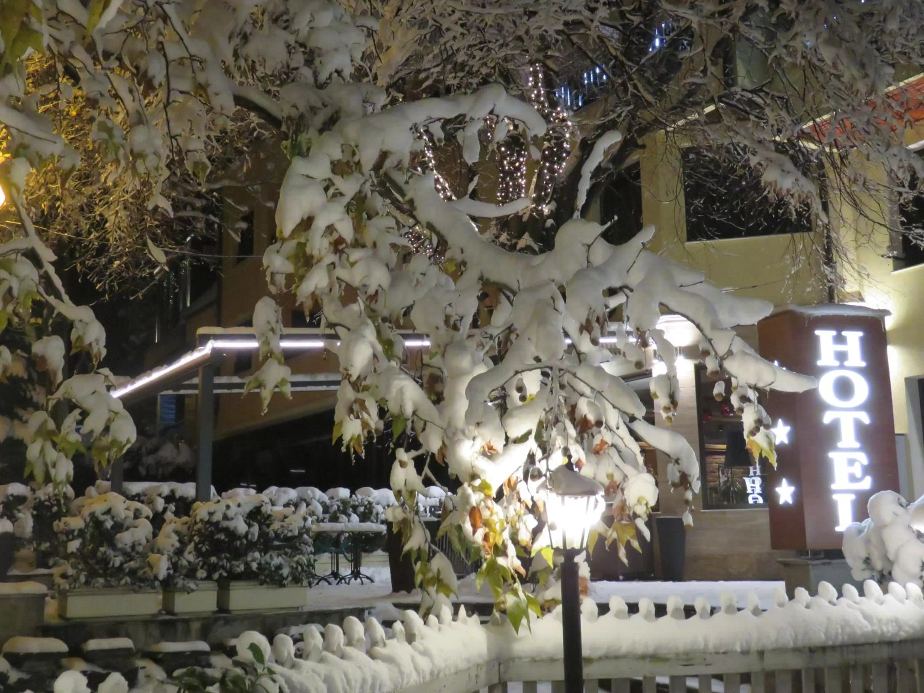 Winter in Hotel Villa Boyana - Free Parking