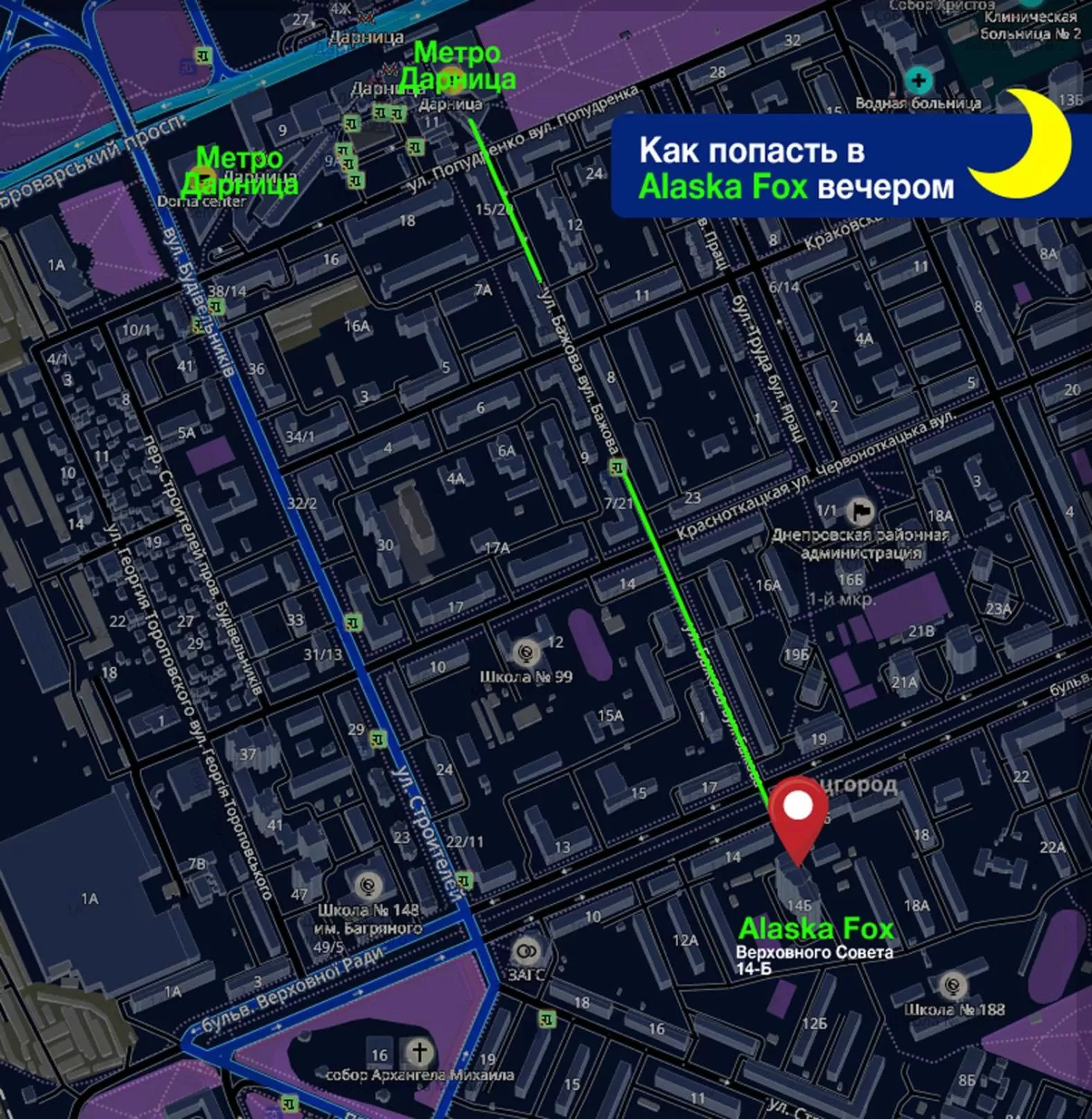 Bird's eye view in Alaska Fox