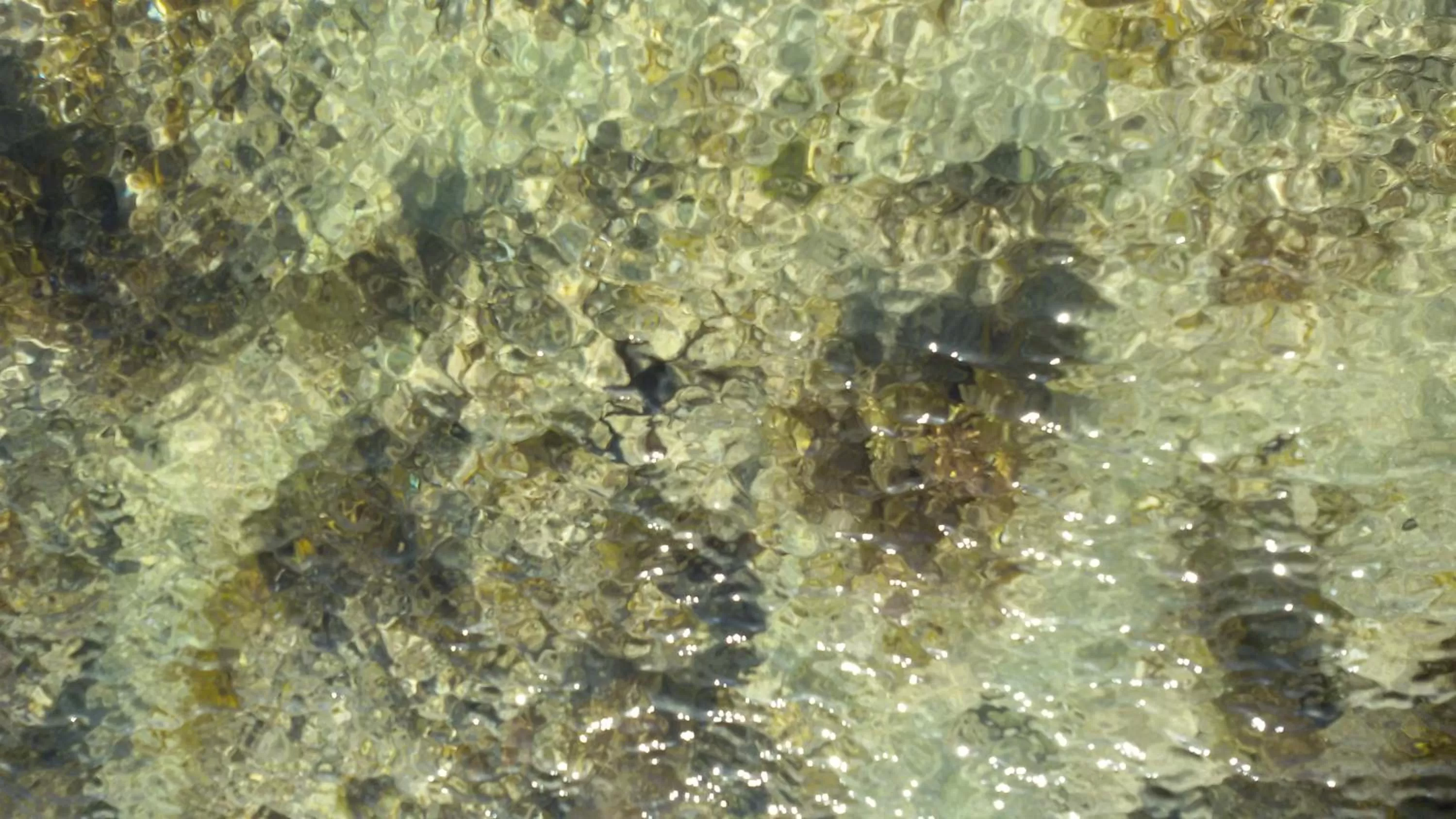 Beach in Bahari Pori Resort