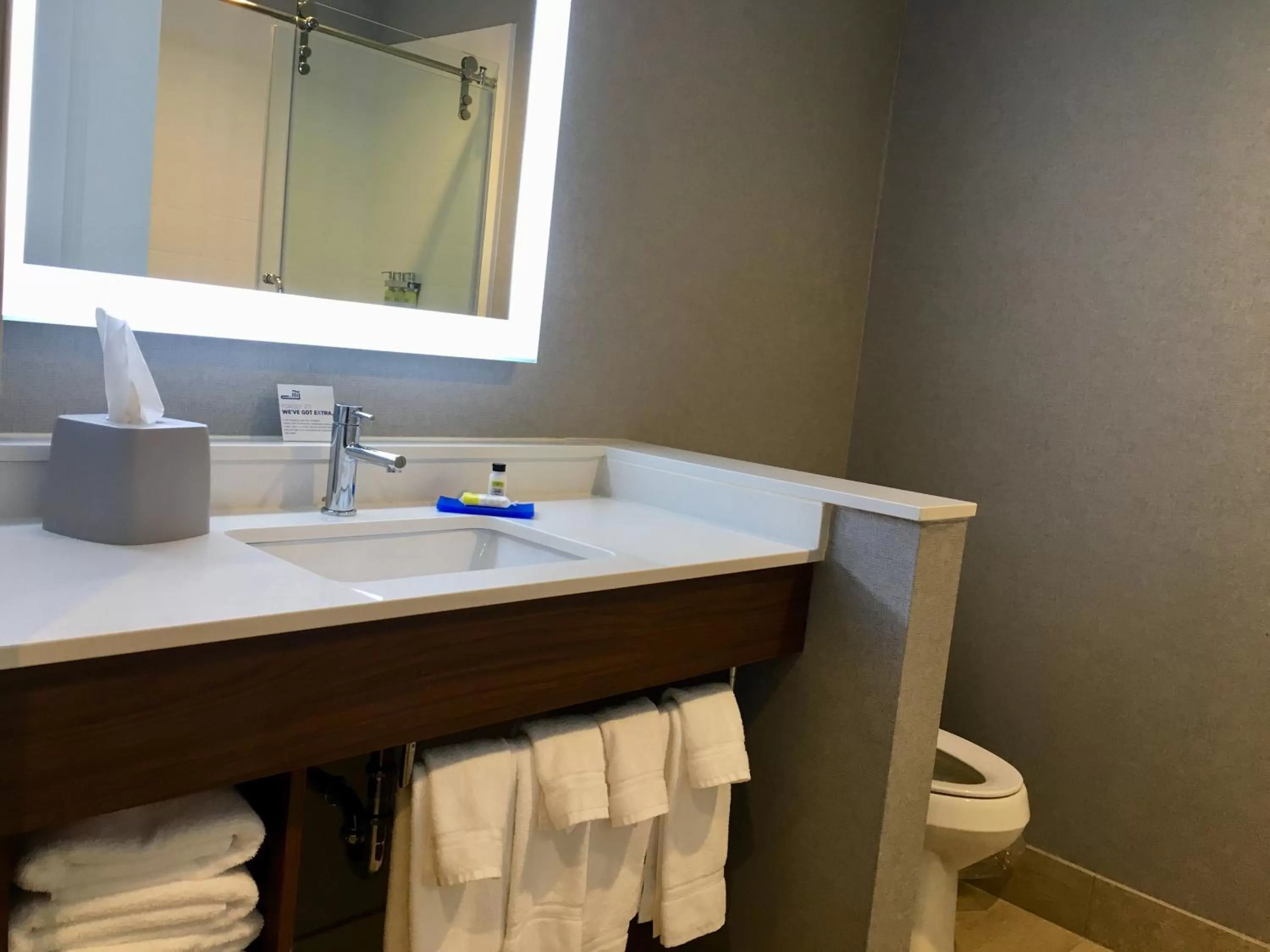 Bathroom in Holiday Inn Express - Grand Island by IHG