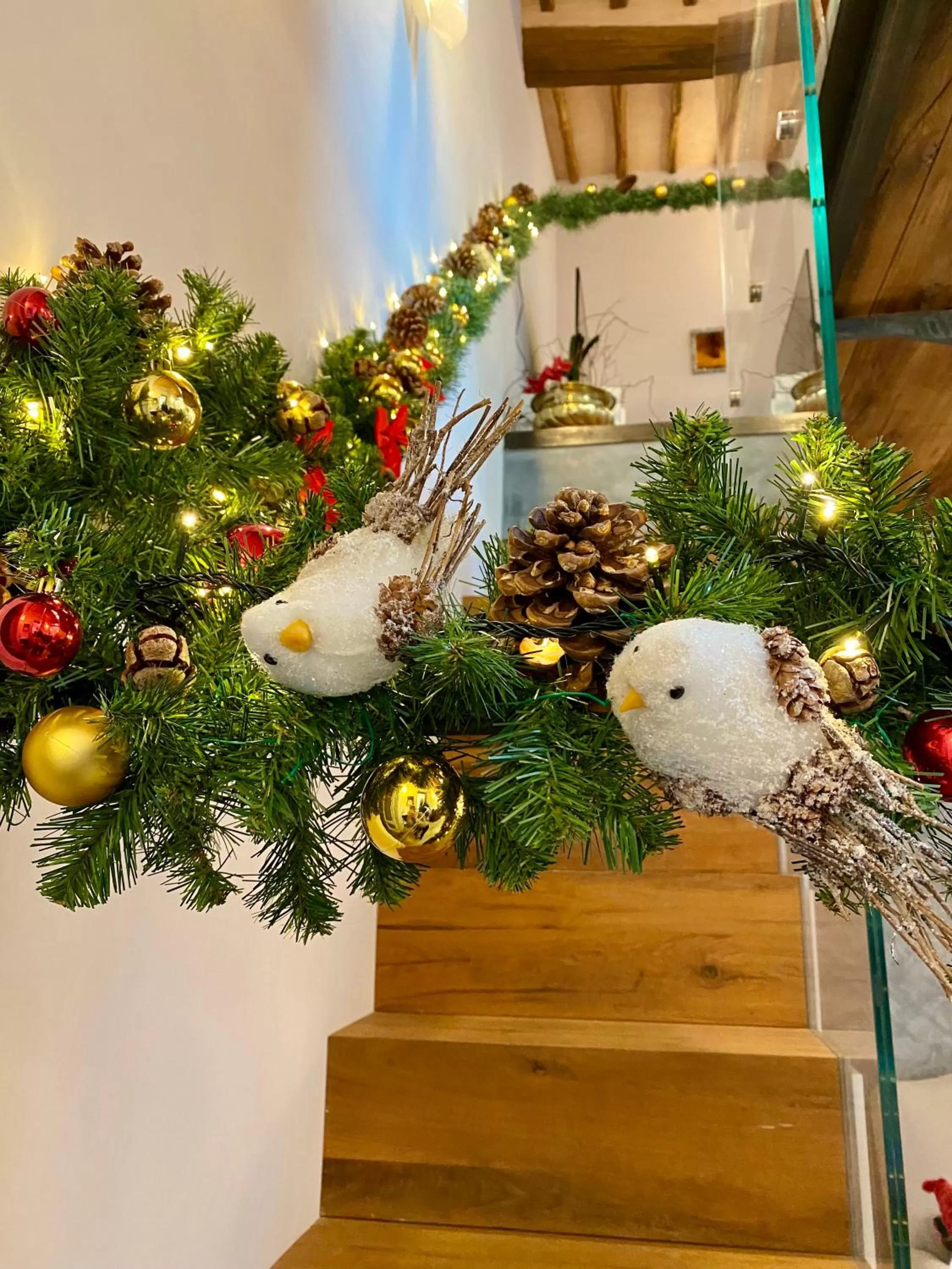 Other Animals in B&B Palazzo Bruchi