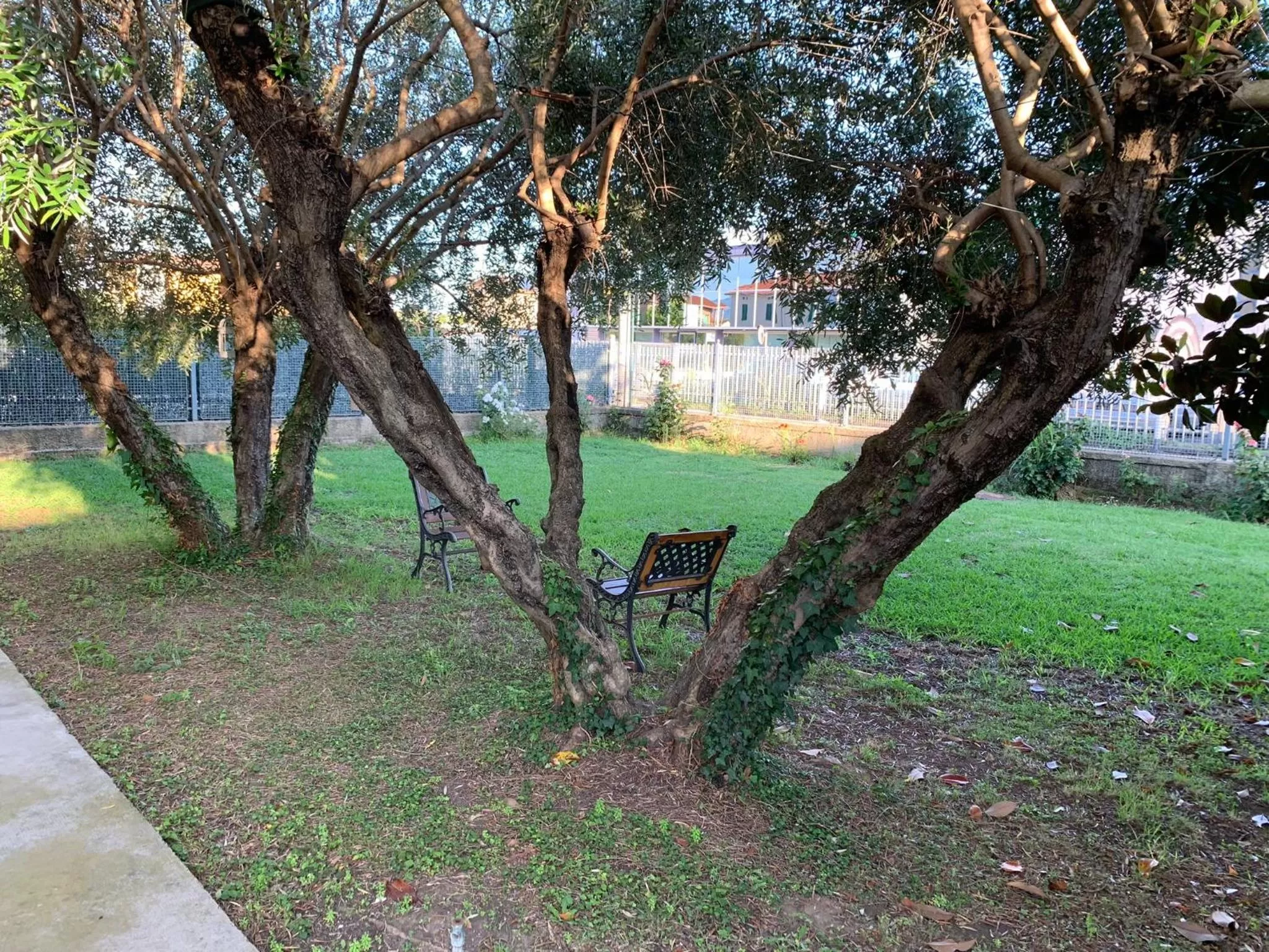 Garden in Villa Adelina