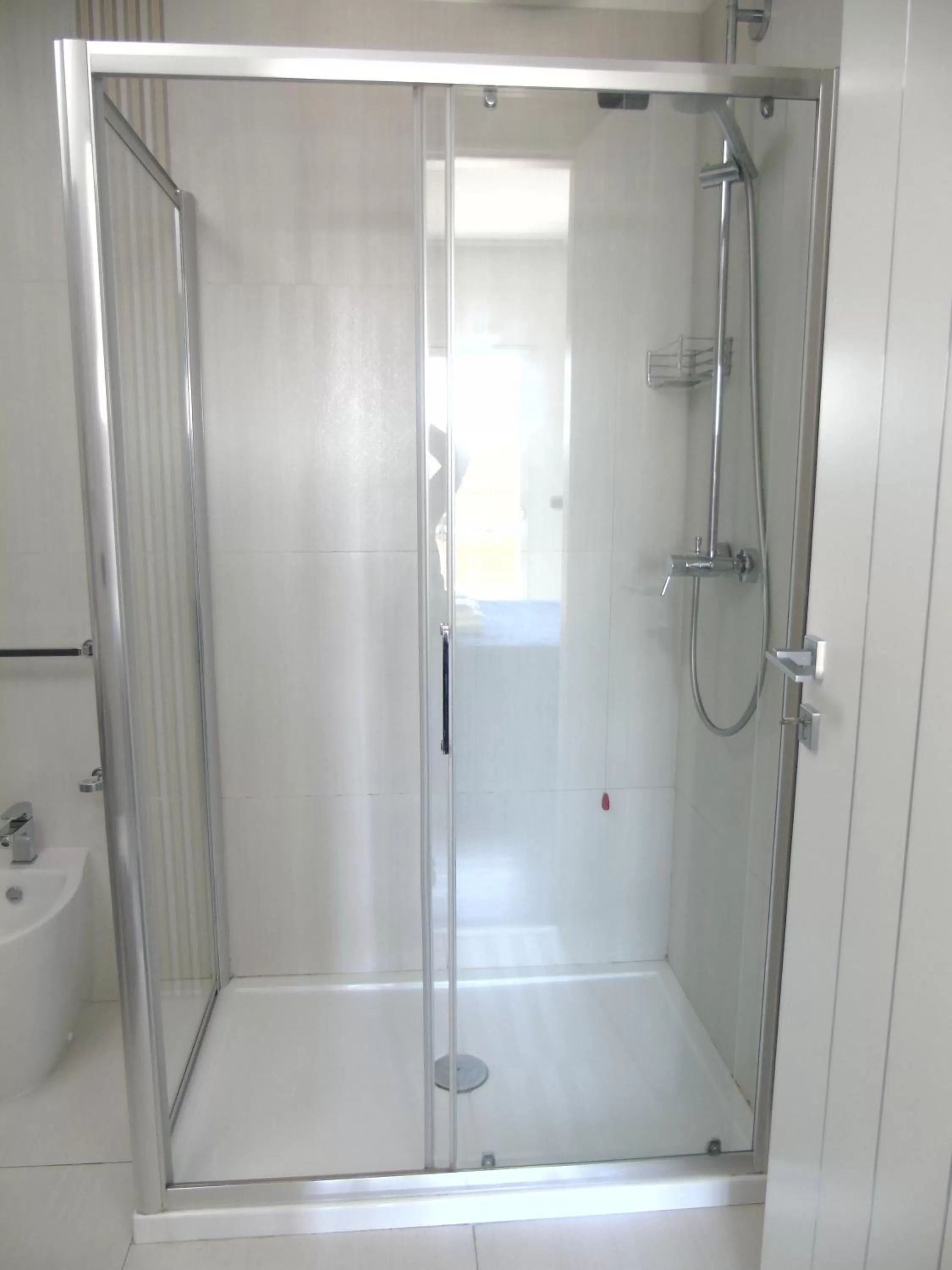 Shower in Areté Luxury Room