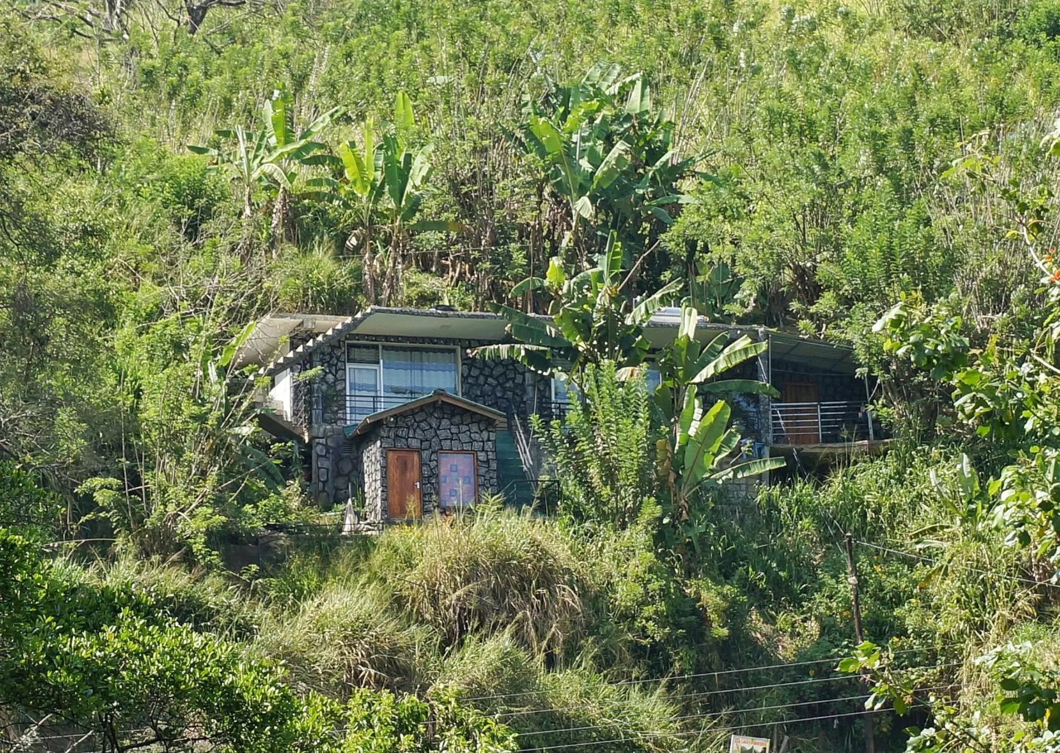 Ella Lucky Panoramic