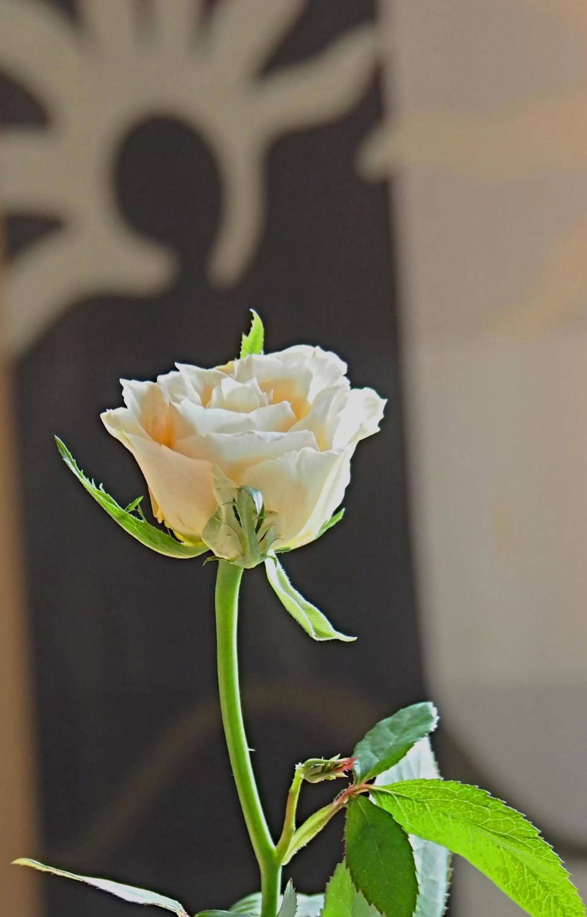 Decorative detail in Gasthof Bögl