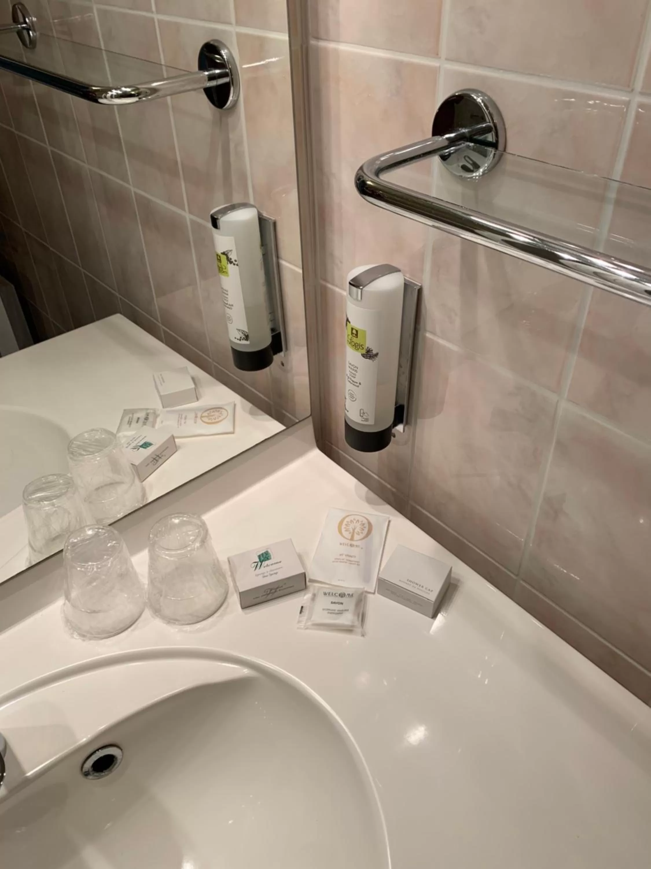 Logis Hôtel Les Nymphéas