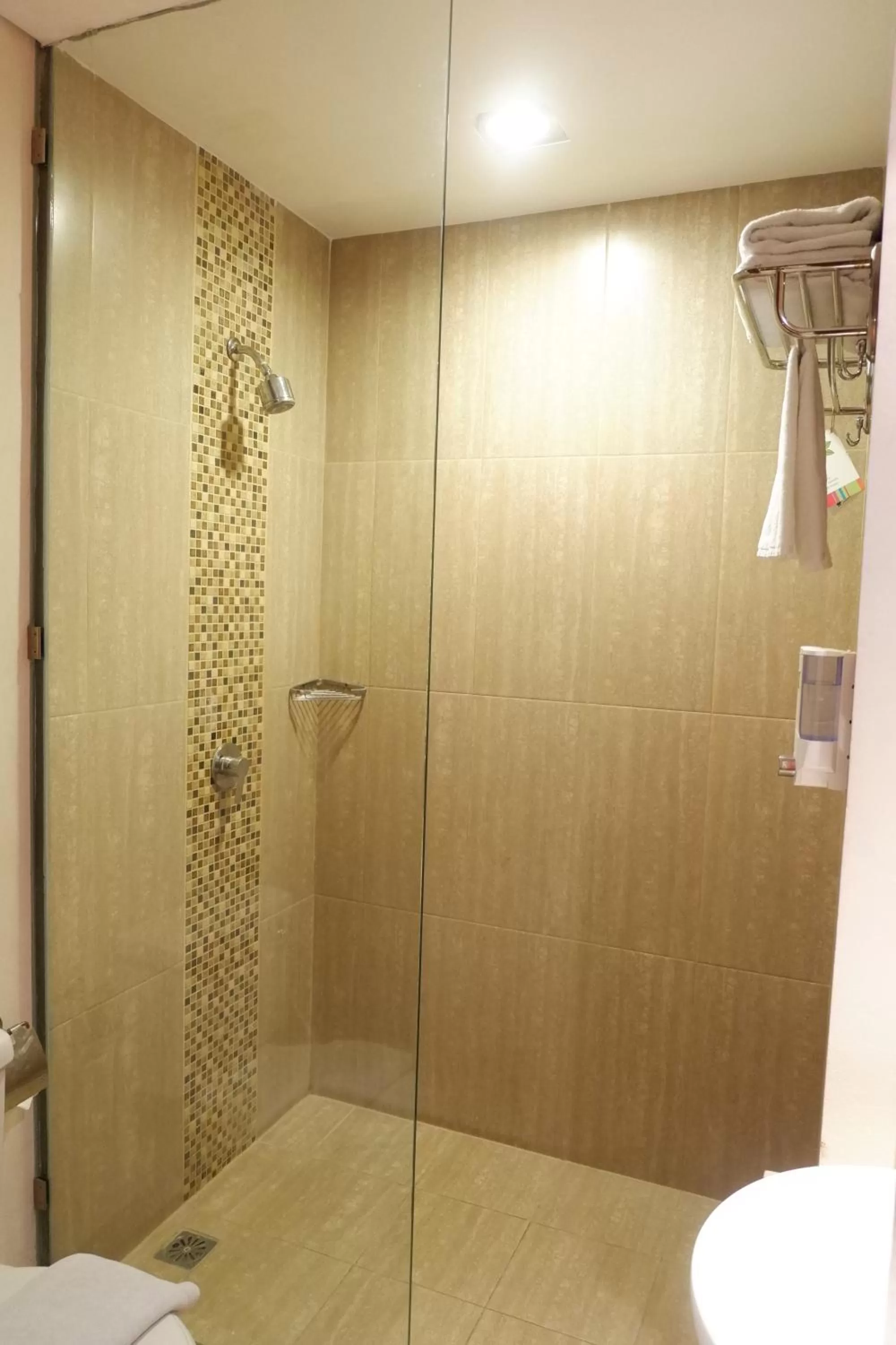 Shower in ibis Styles Bali Legian