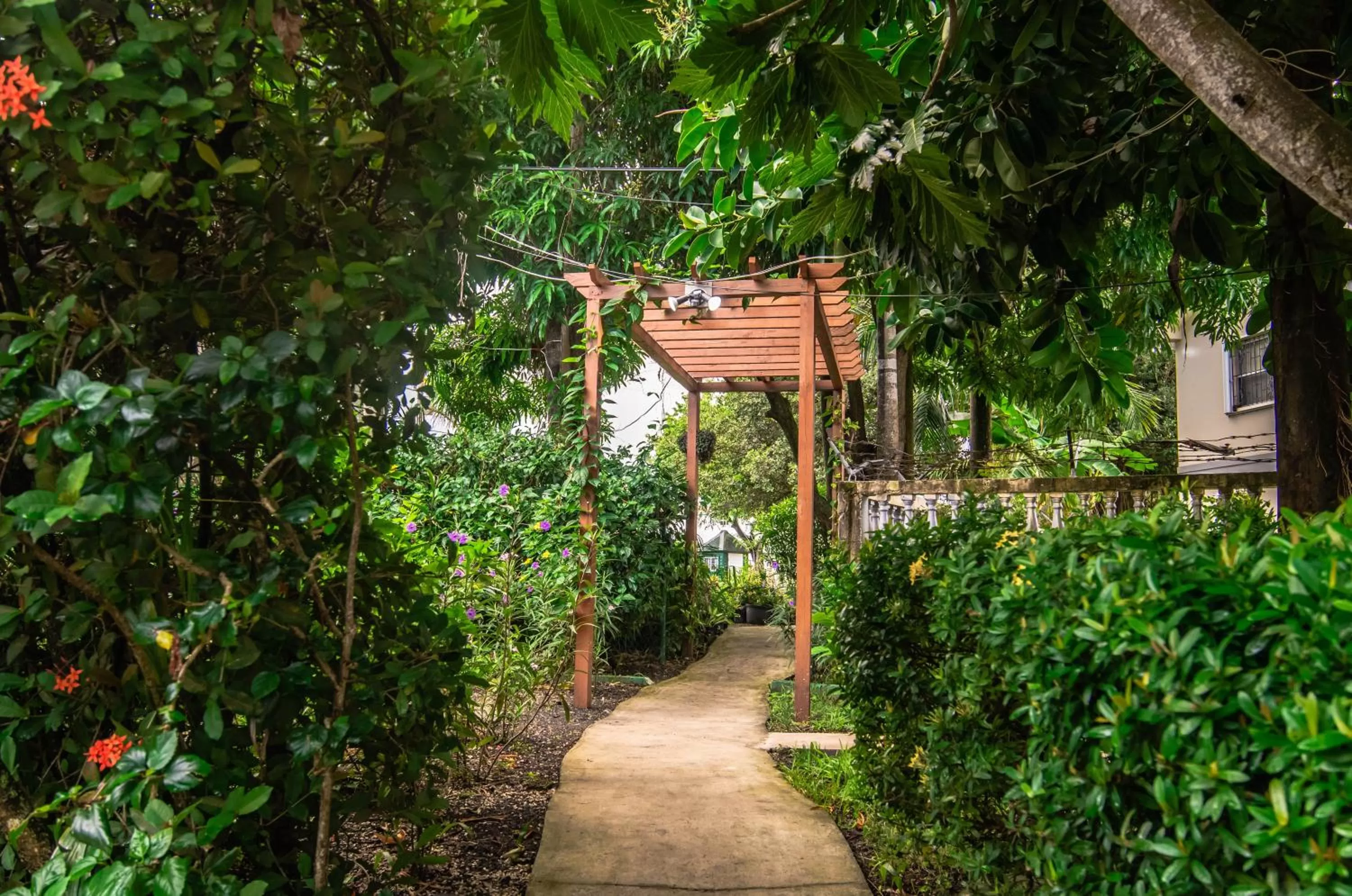 Garden in Harbour View Boutique Hotel & Wellness Retreat