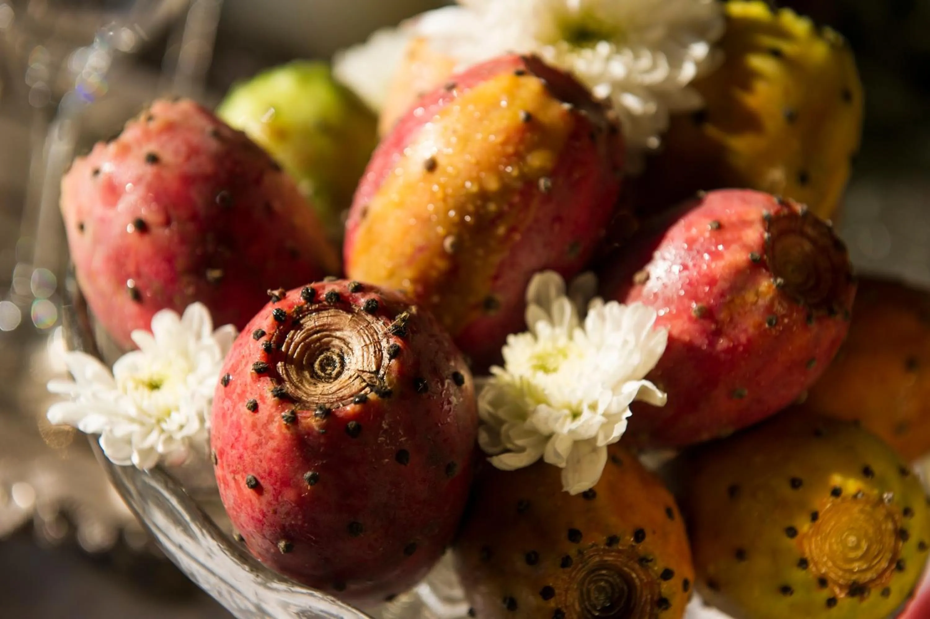 Buffet breakfast in Hotel Villa Ducale