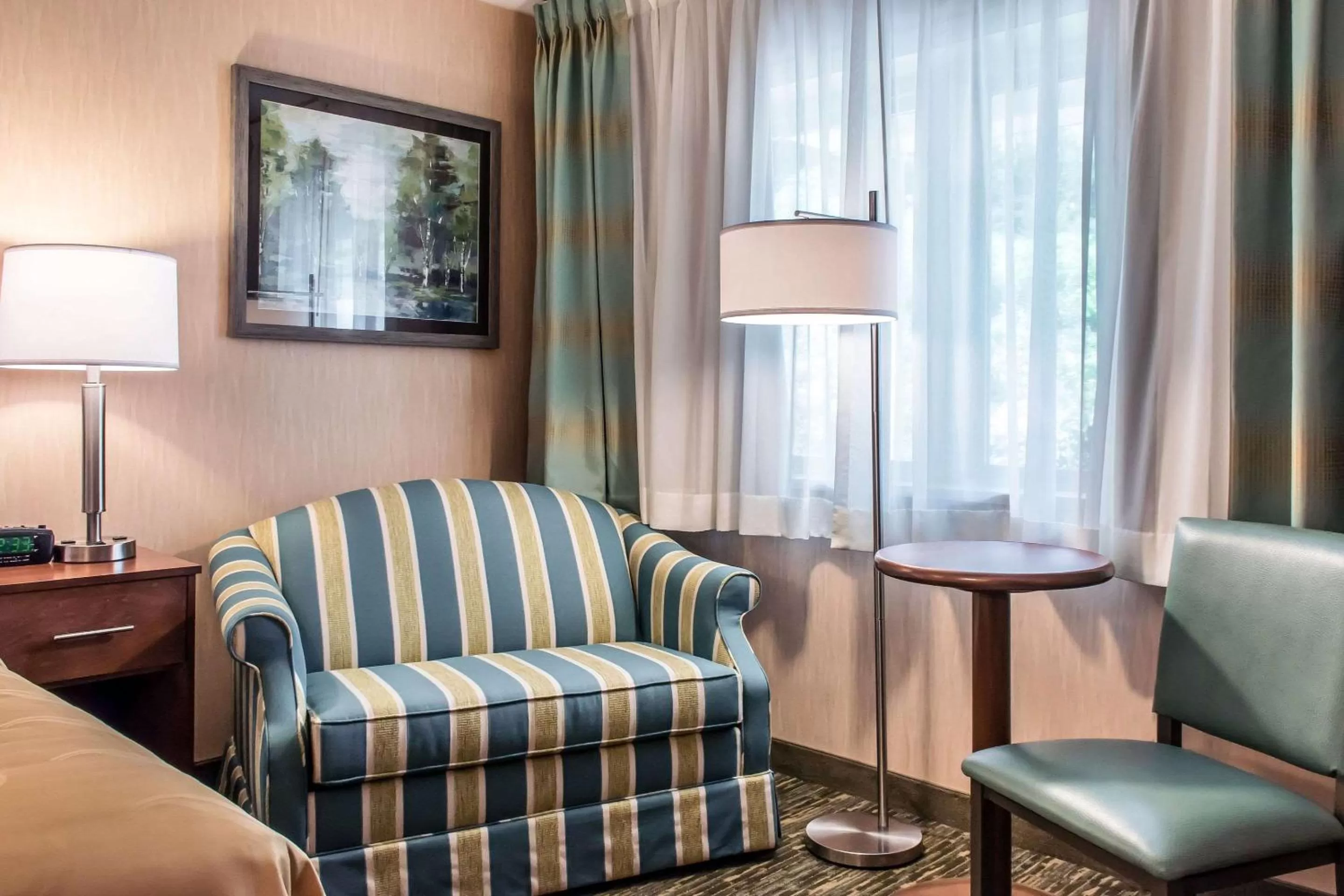 Photo of the whole room in Quality Inn