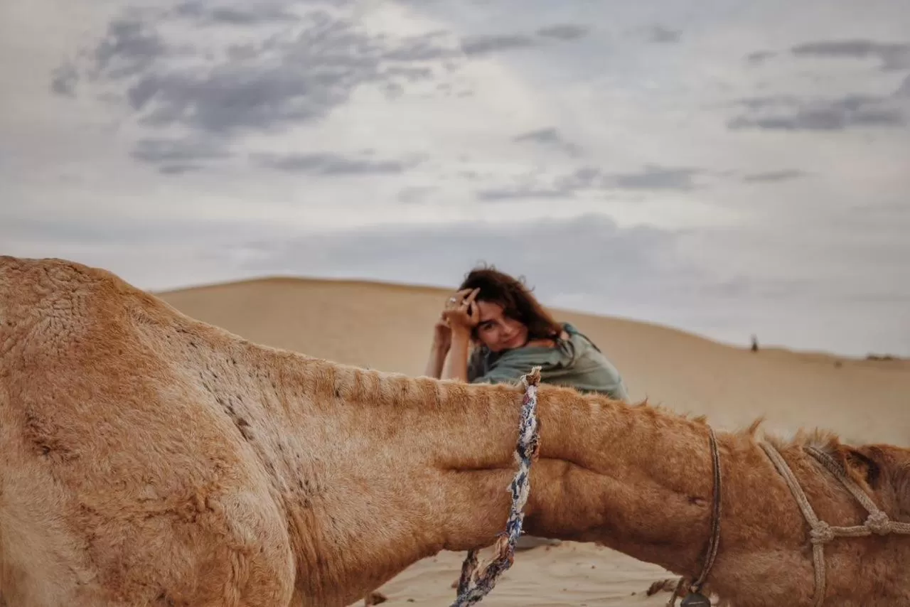 Other Animals in Hotel Murad Haveli