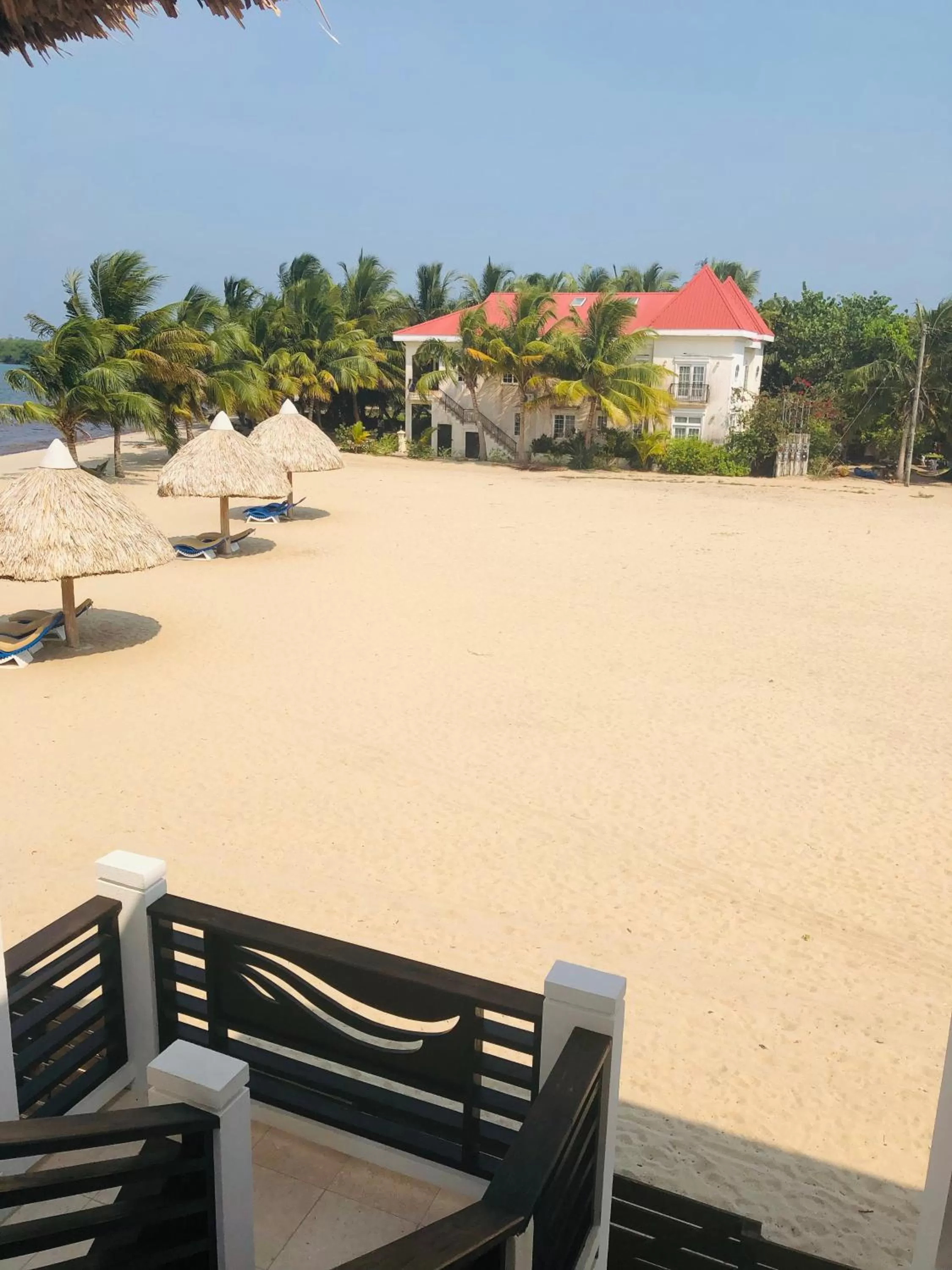 Beach in Ocean Breeze