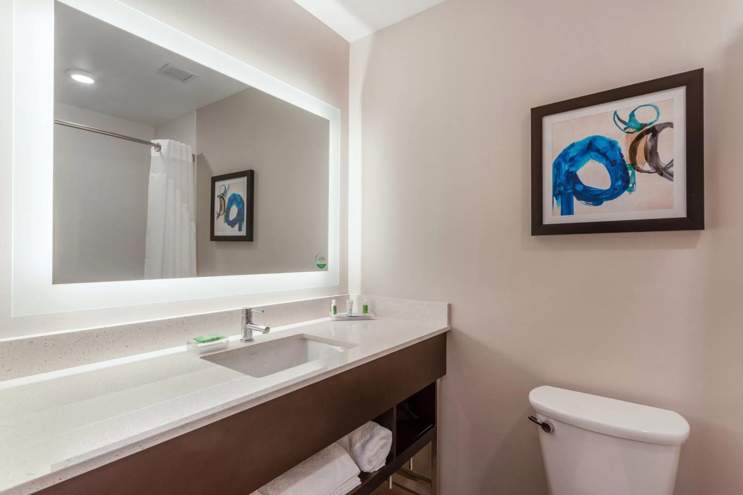Bathroom in Holiday Inn & Suites - Jefferson City by IHG