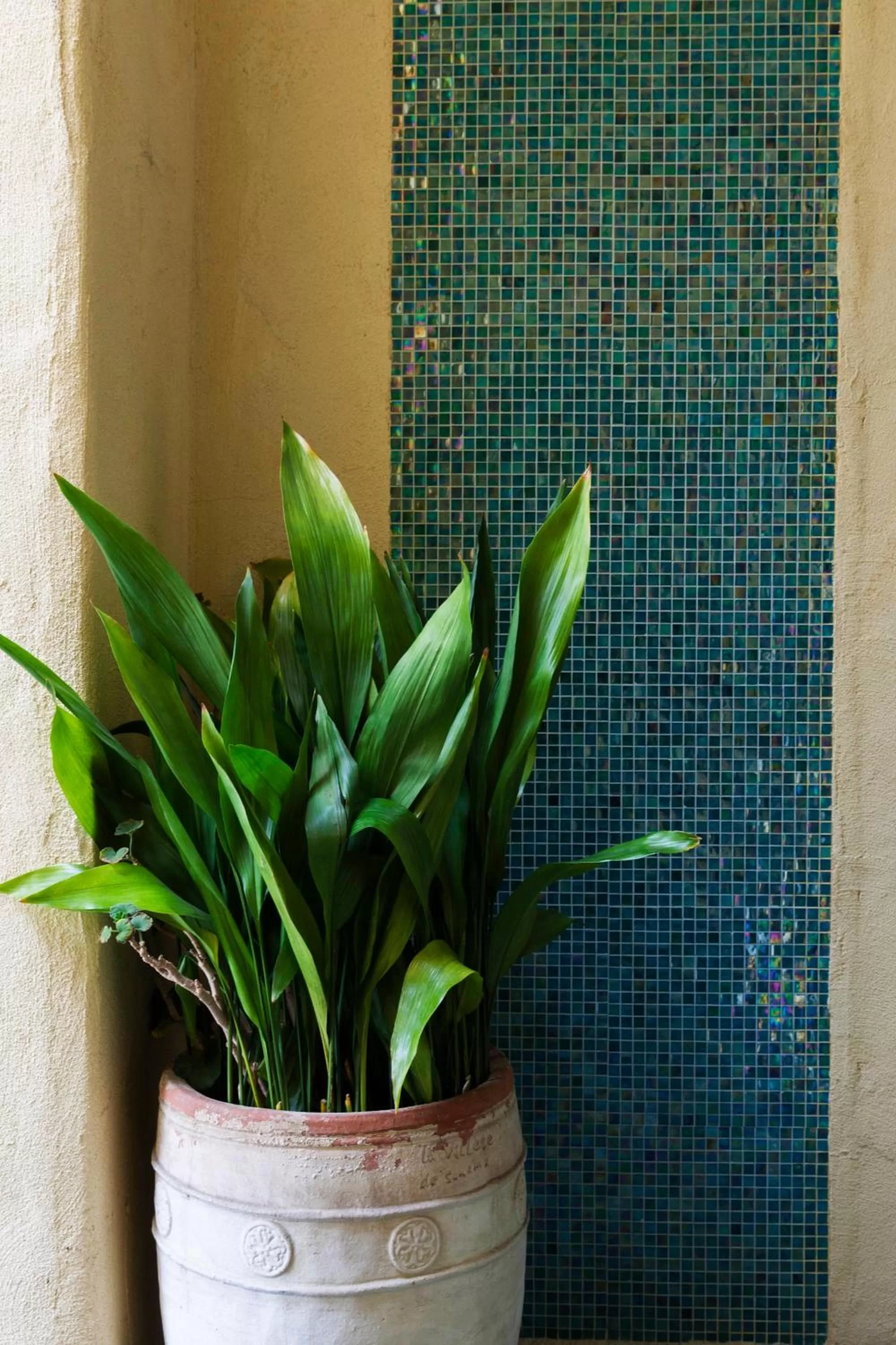 Facade/entrance in Sonoma Creek Inn