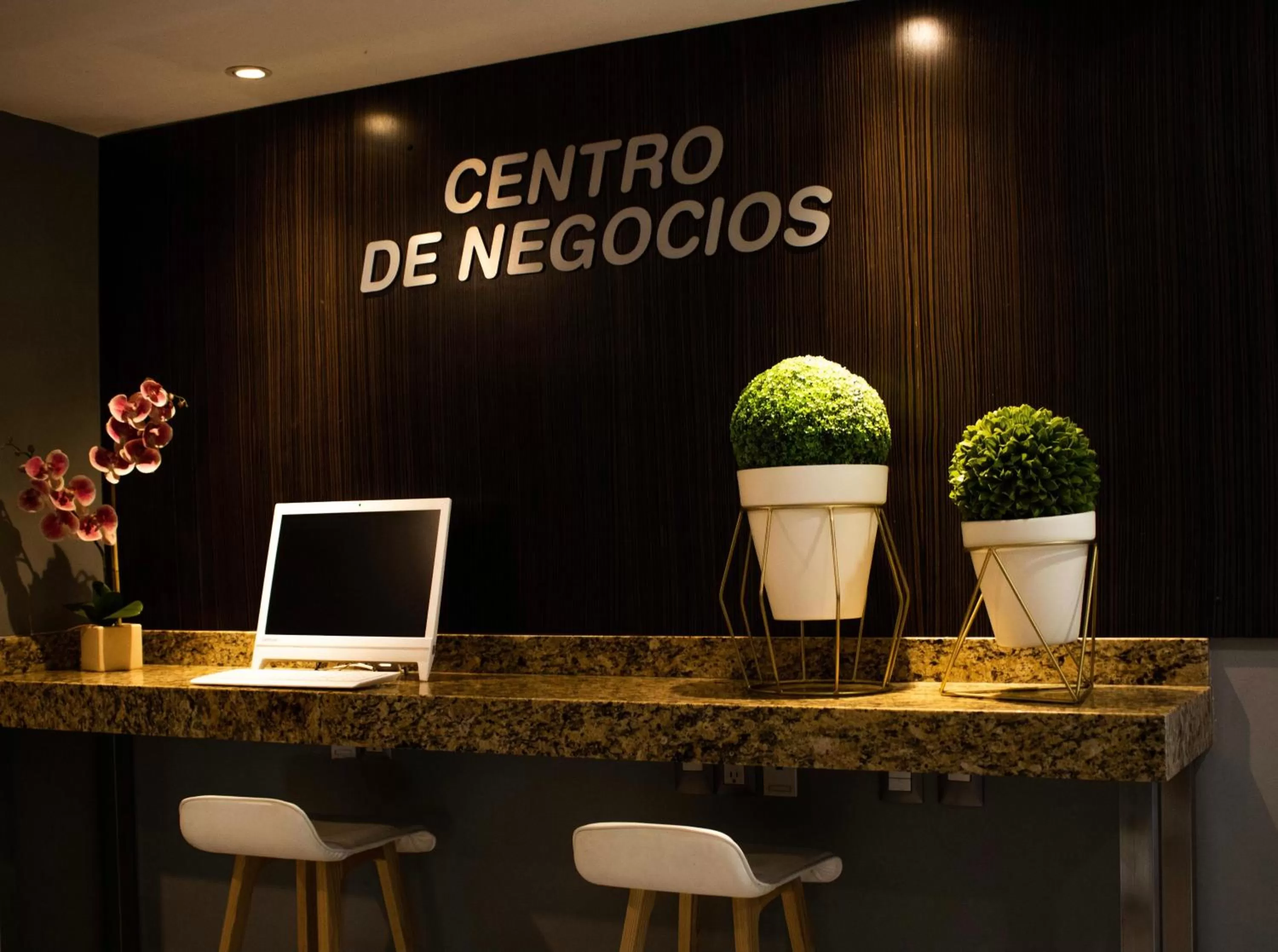 Business facilities in Hotel Diana del Bosque by DOT Urban