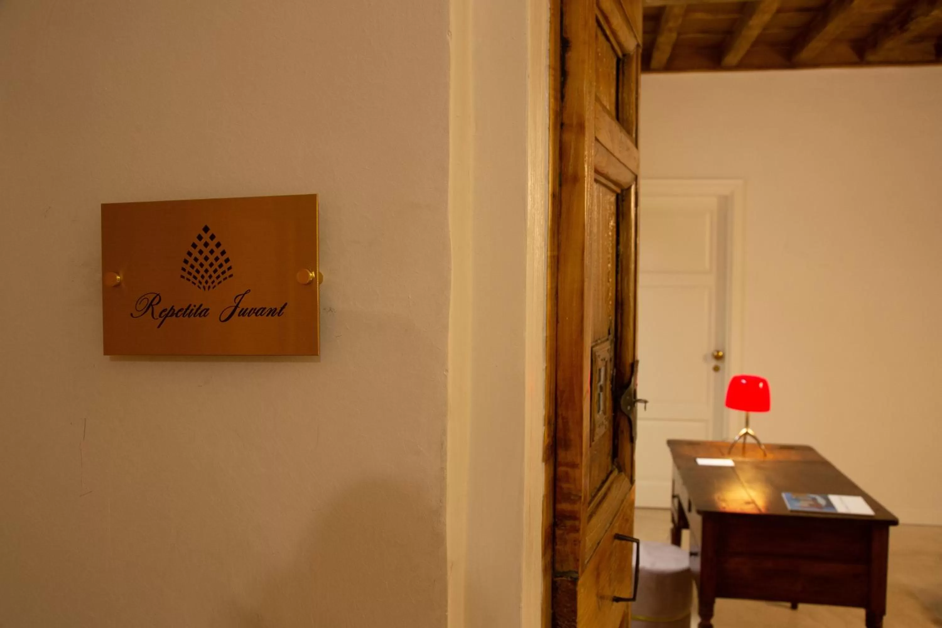 Decorative detail in Repetita Juvant